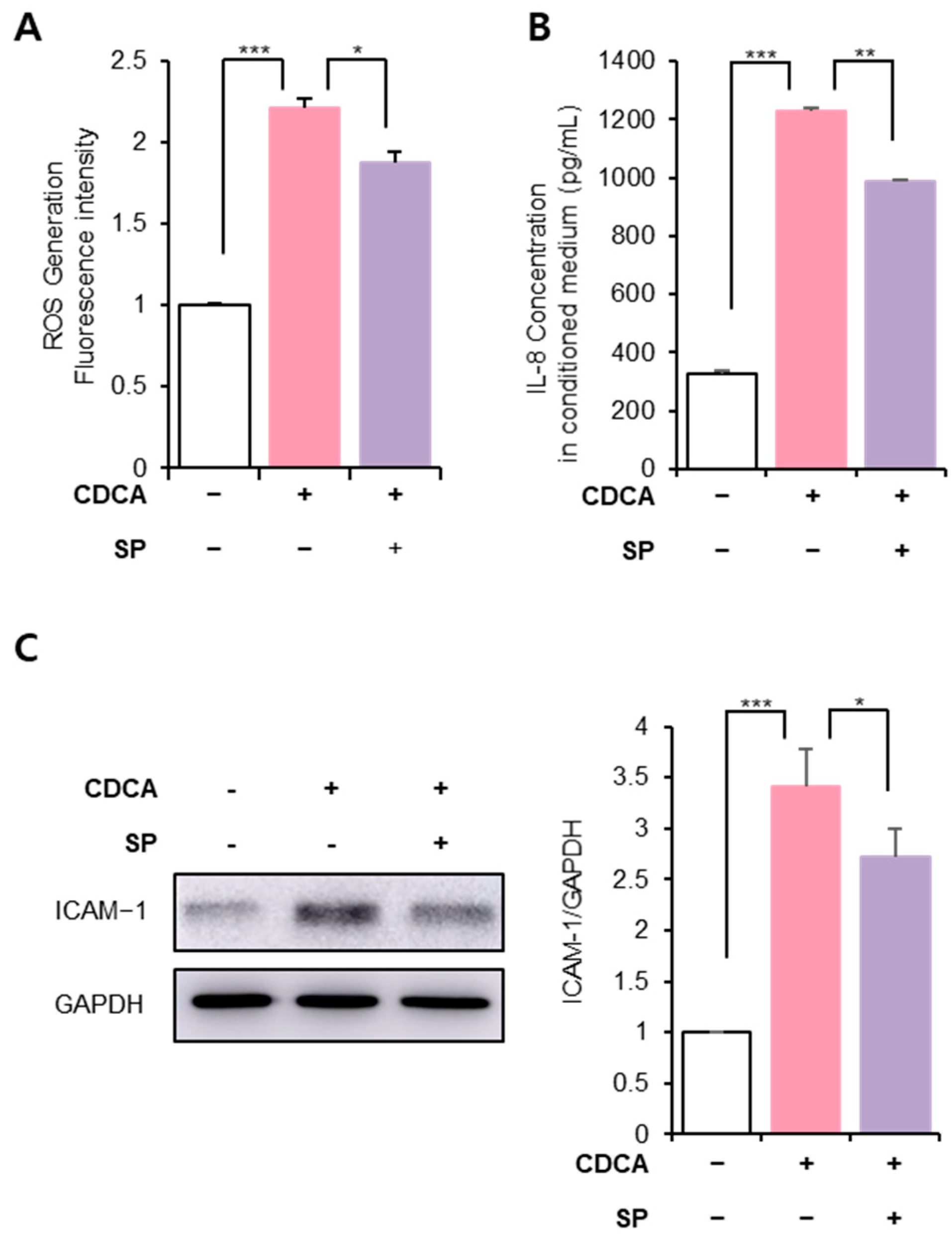 Antioxidants 11 00920 g003