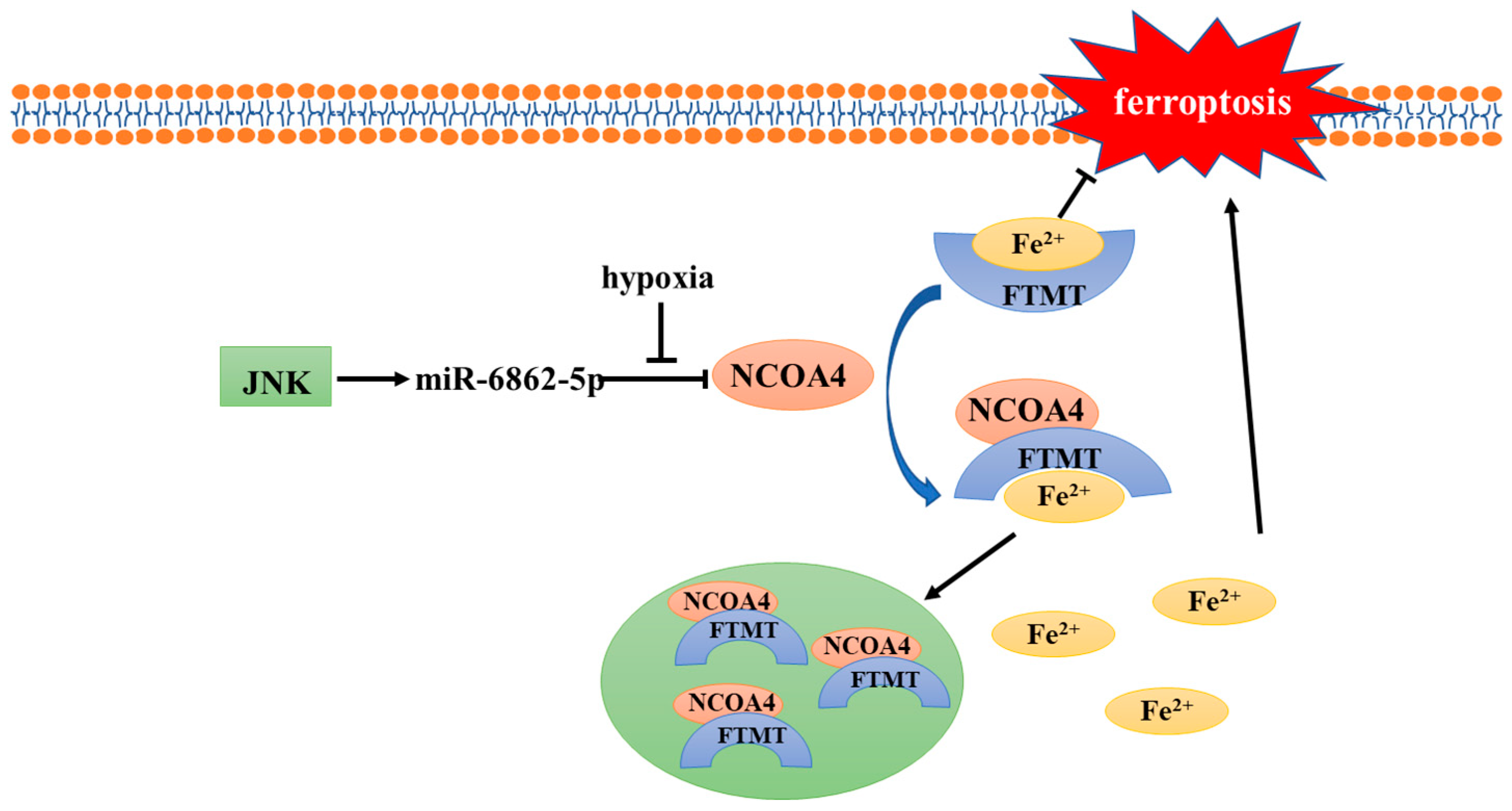 Antioxidants 11 00921 g001