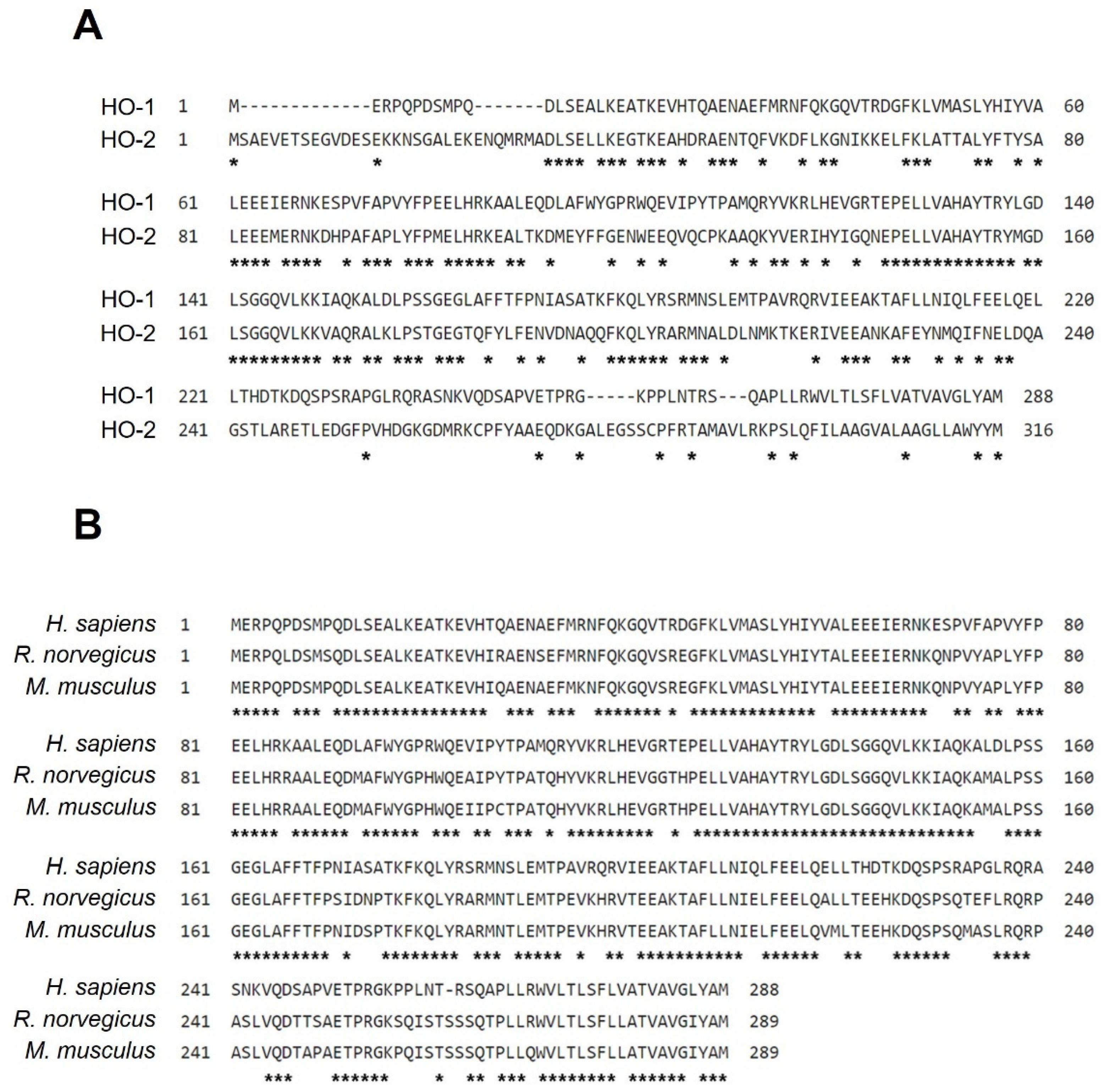 Antioxidants 11 00923 g001