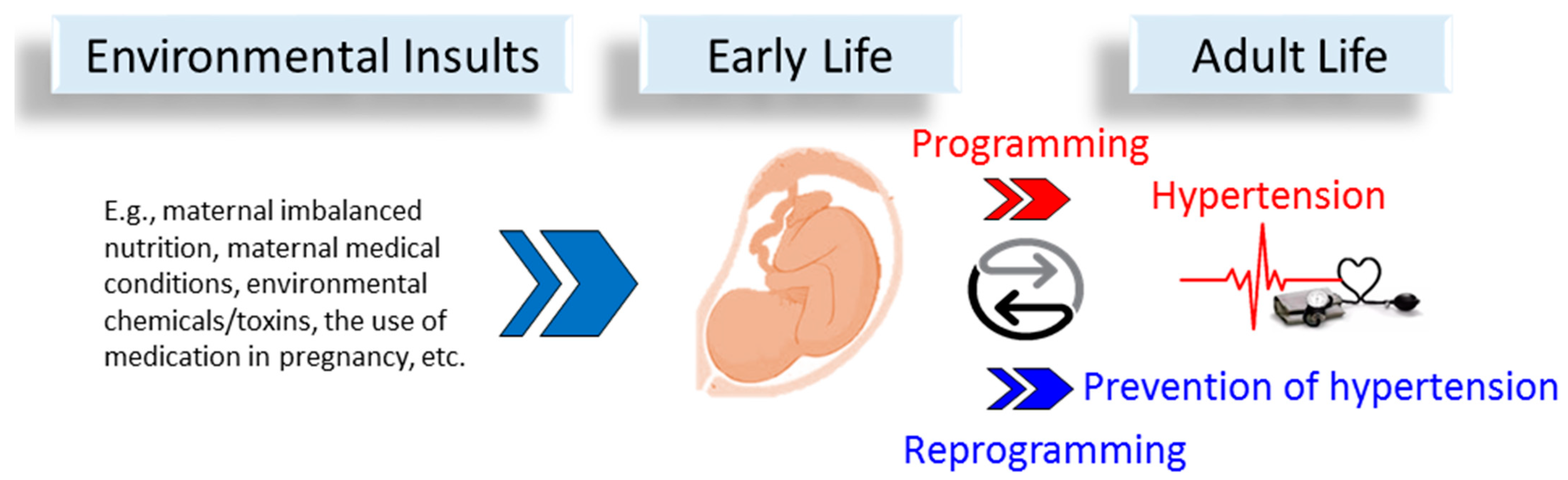 Antioxidants 11 00924 g001