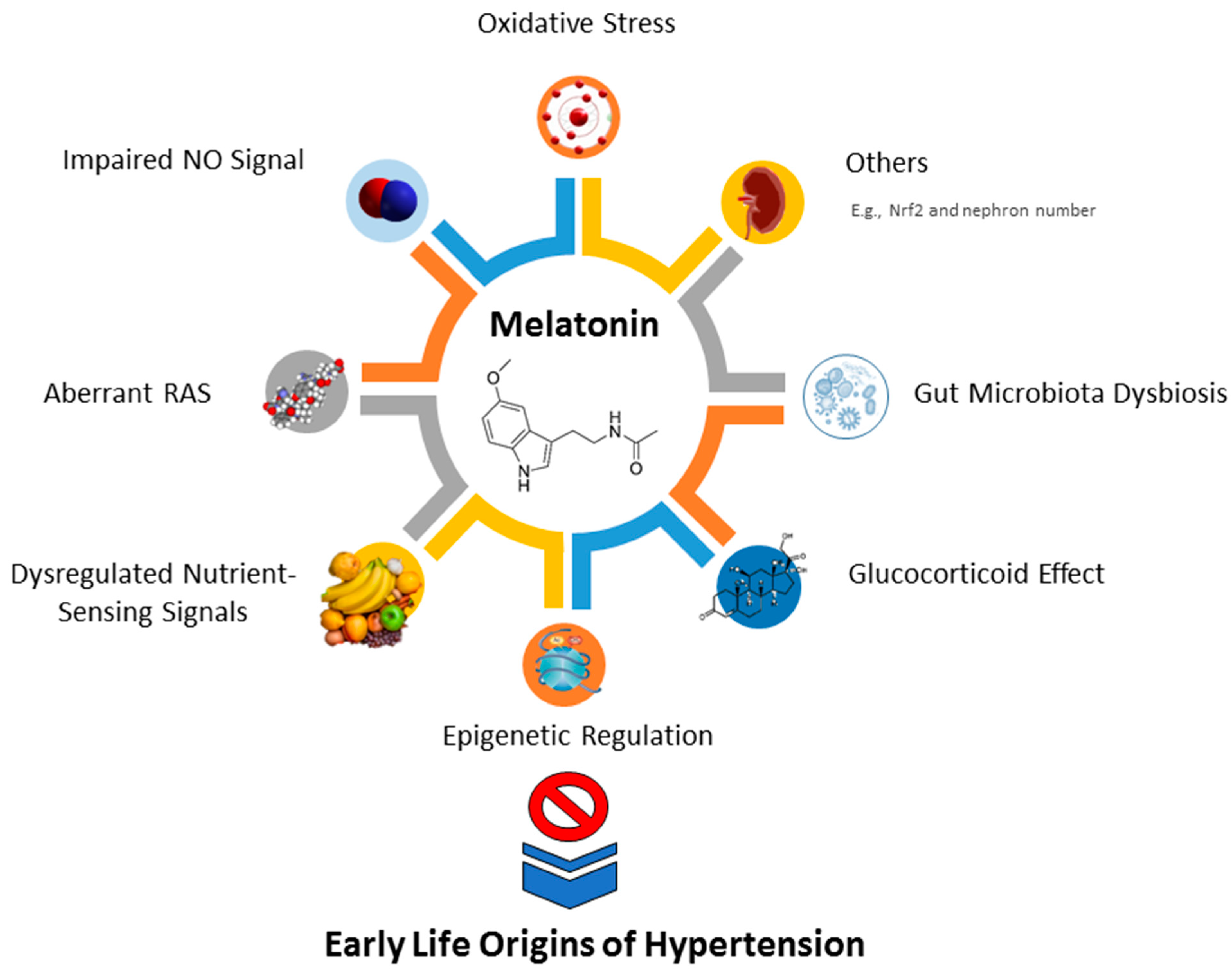 Antioxidants 11 00924 g002
