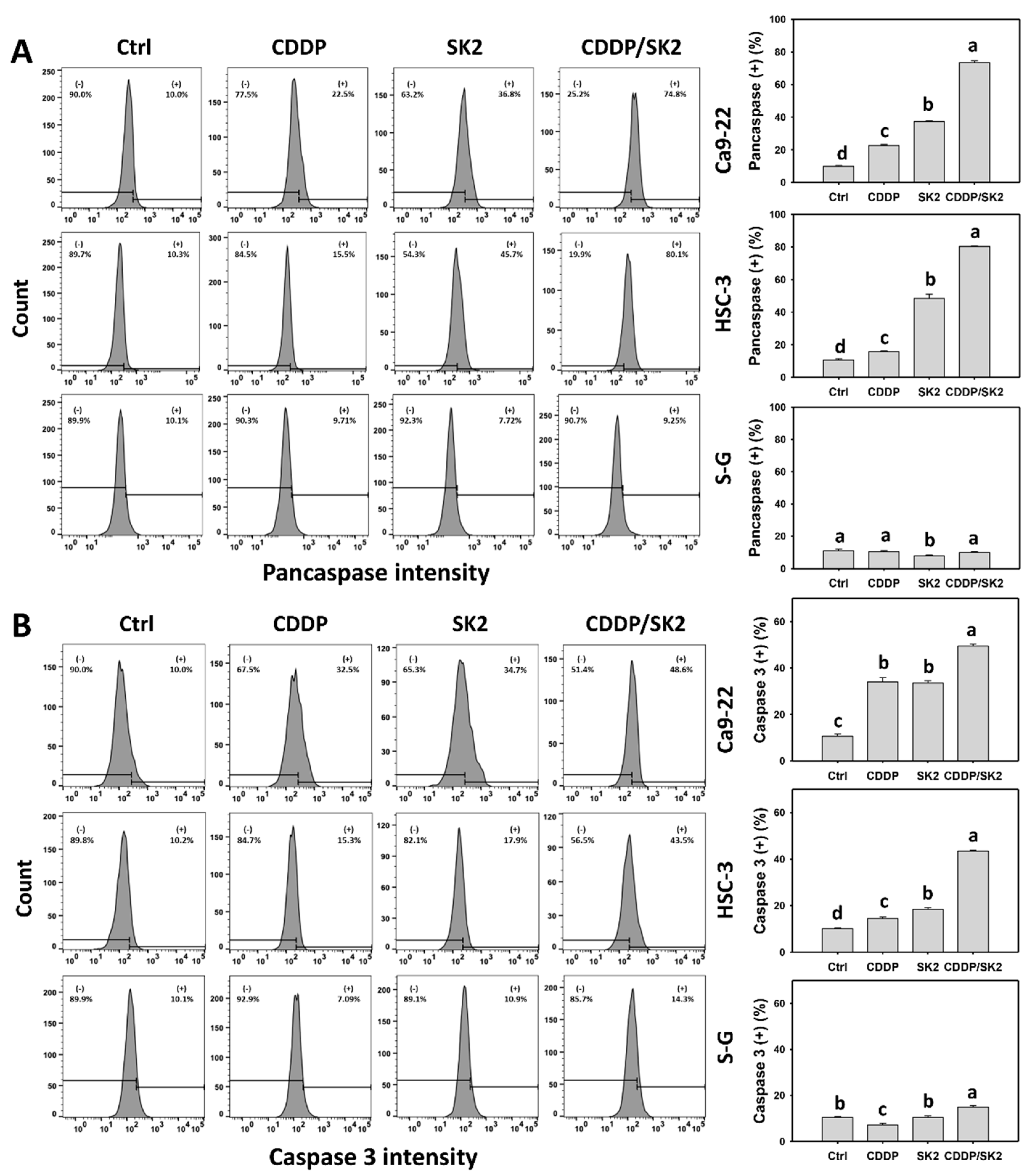 Antioxidants 11 00926 g004a