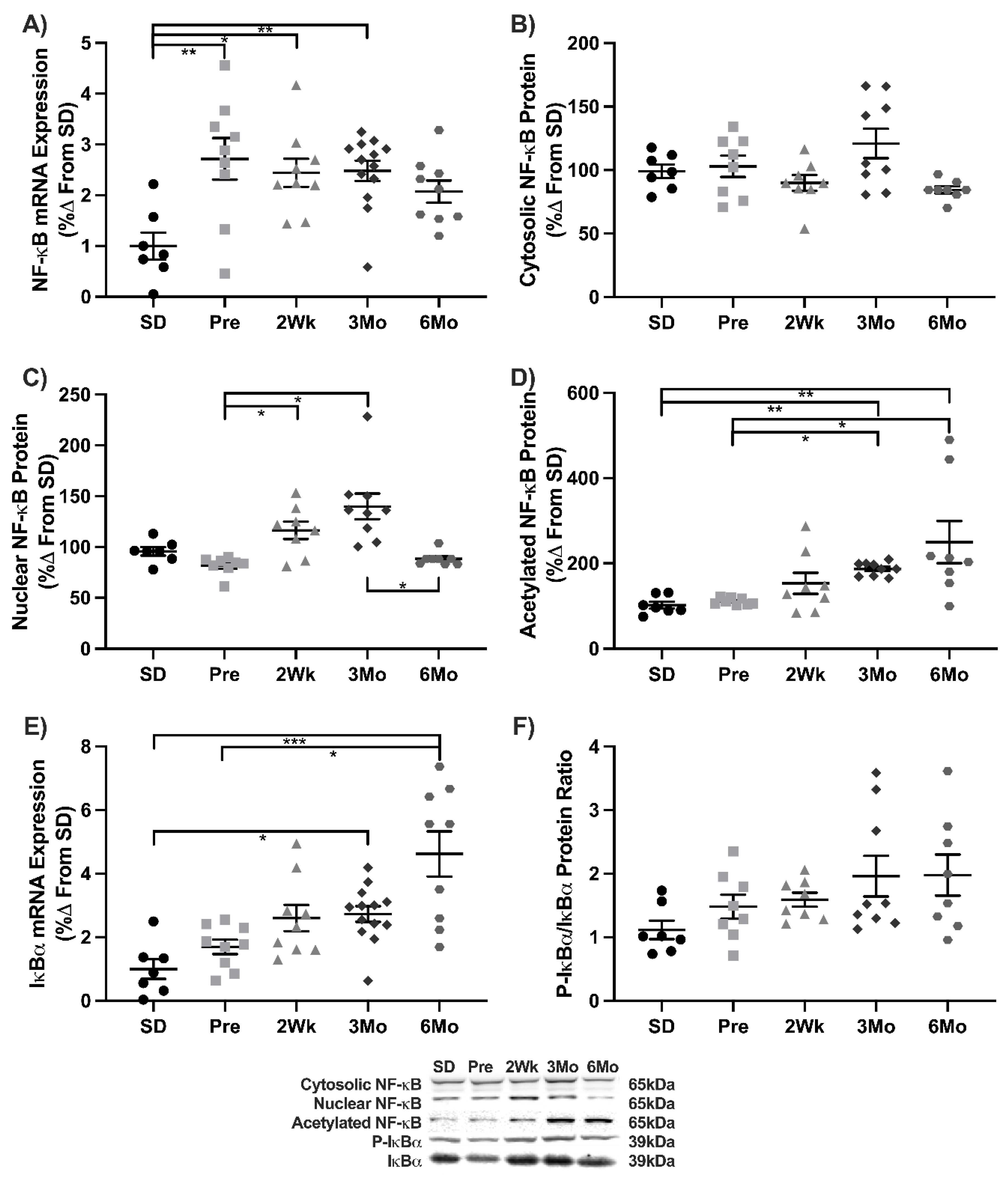 Antioxidants 11 00927 g001