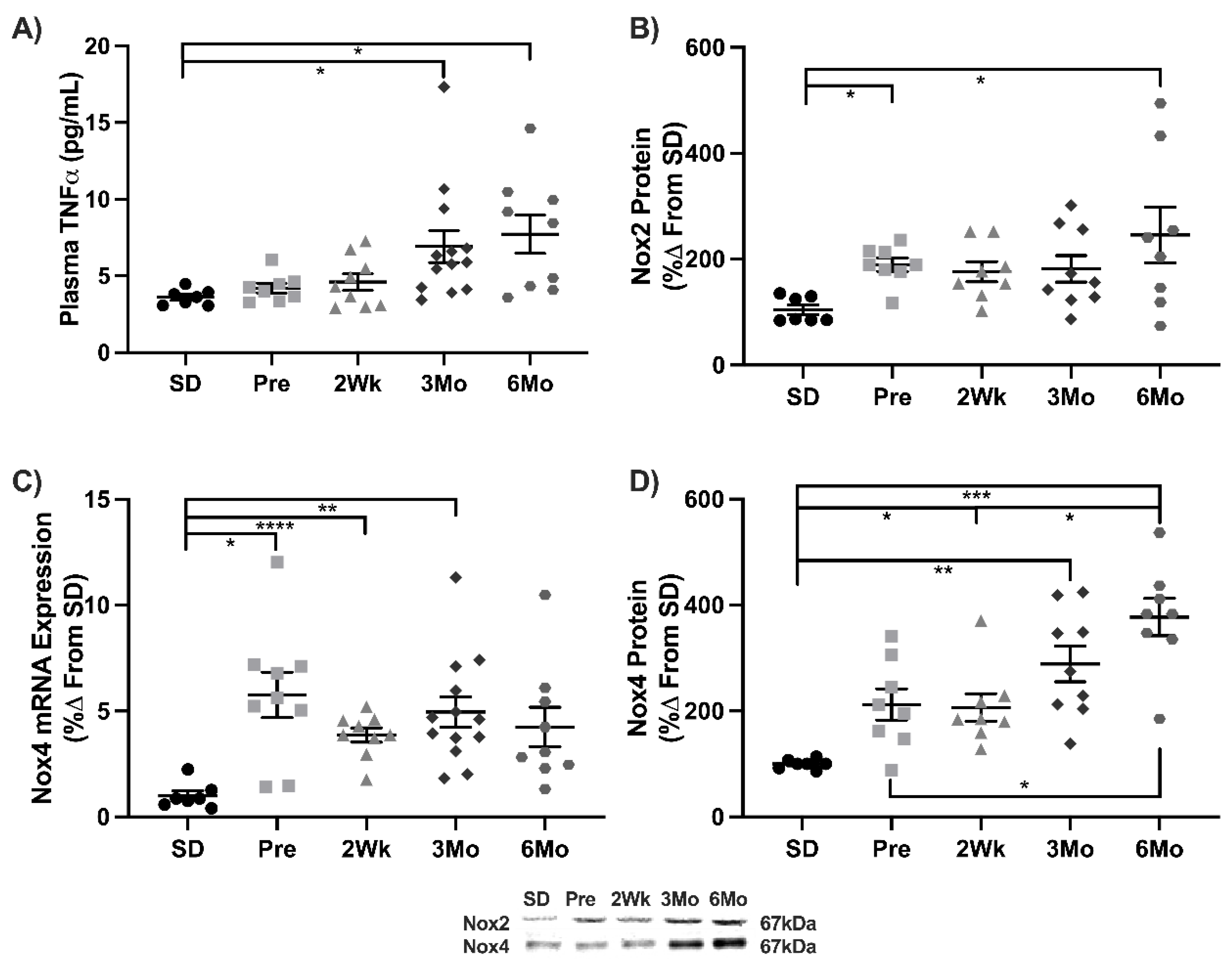 Antioxidants 11 00927 g002