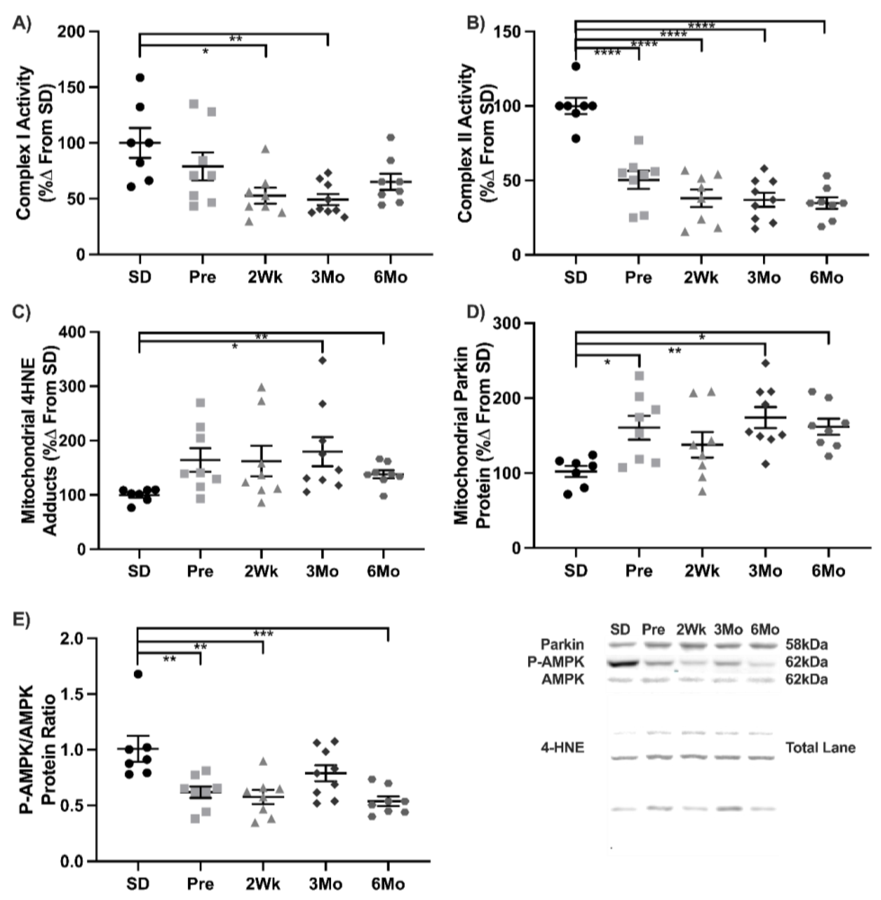 Antioxidants 11 00927 g005