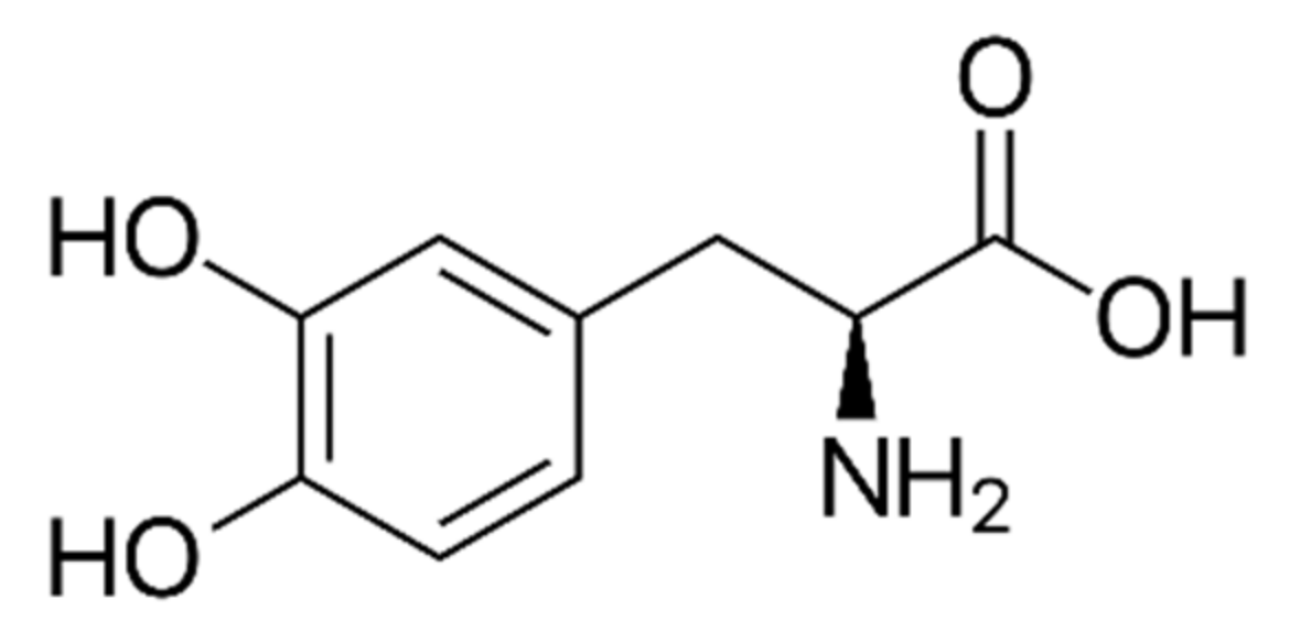 Antioxidants 11 00931 g001