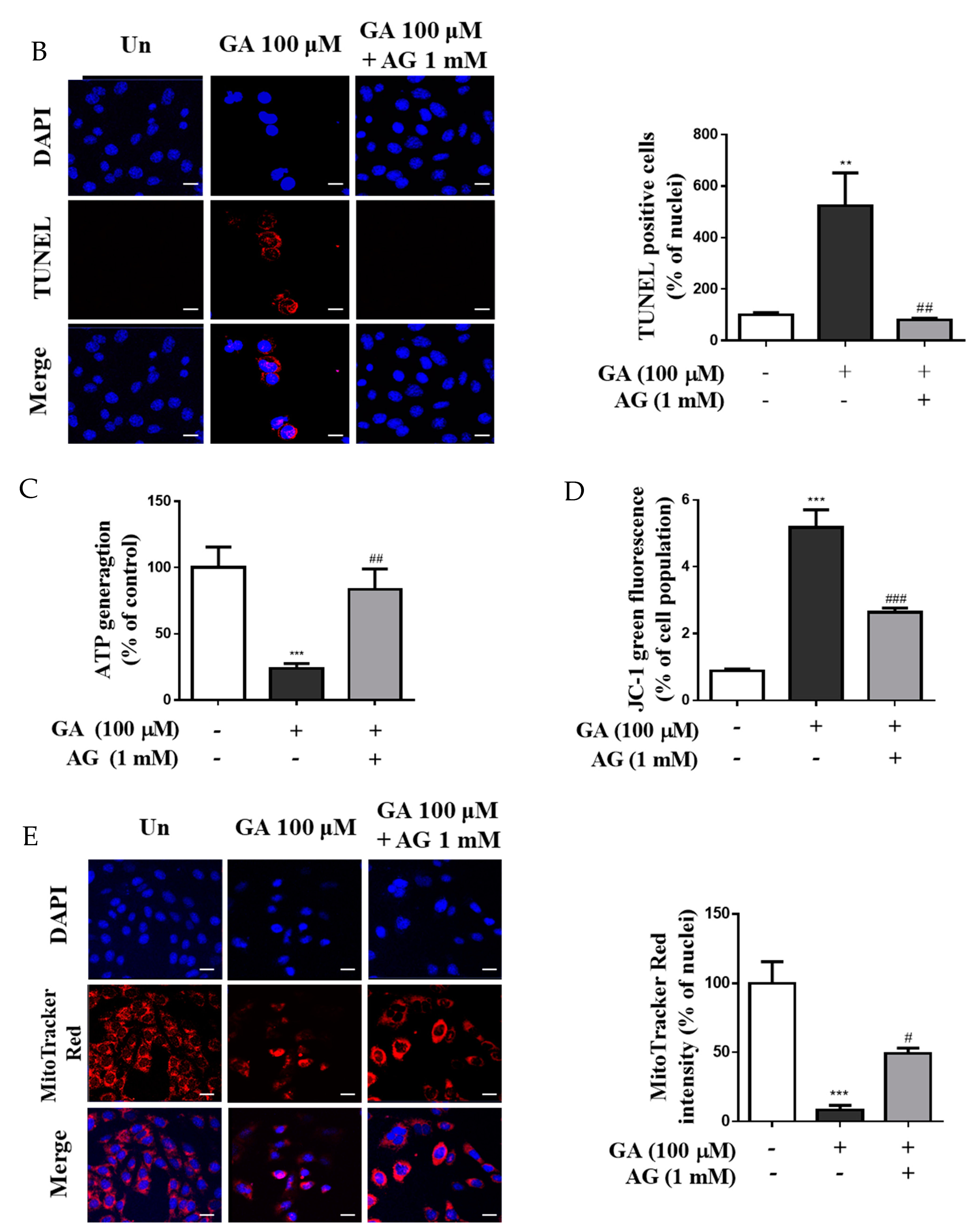 Antioxidants 11 00934 g003b Antioxidants 11 00934 g003b