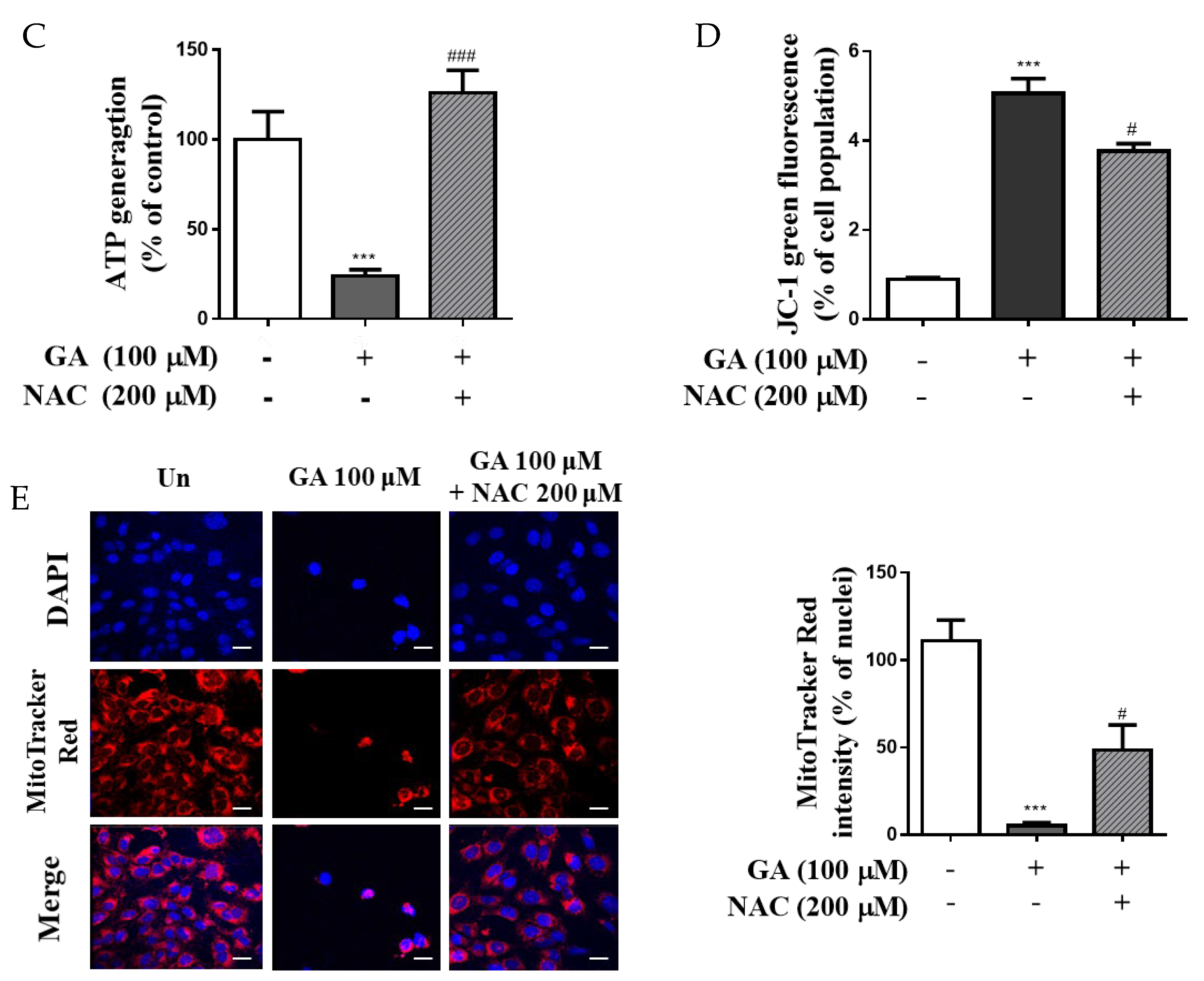 Antioxidants 11 00934 g005b Antioxidants 11 00934 g005b