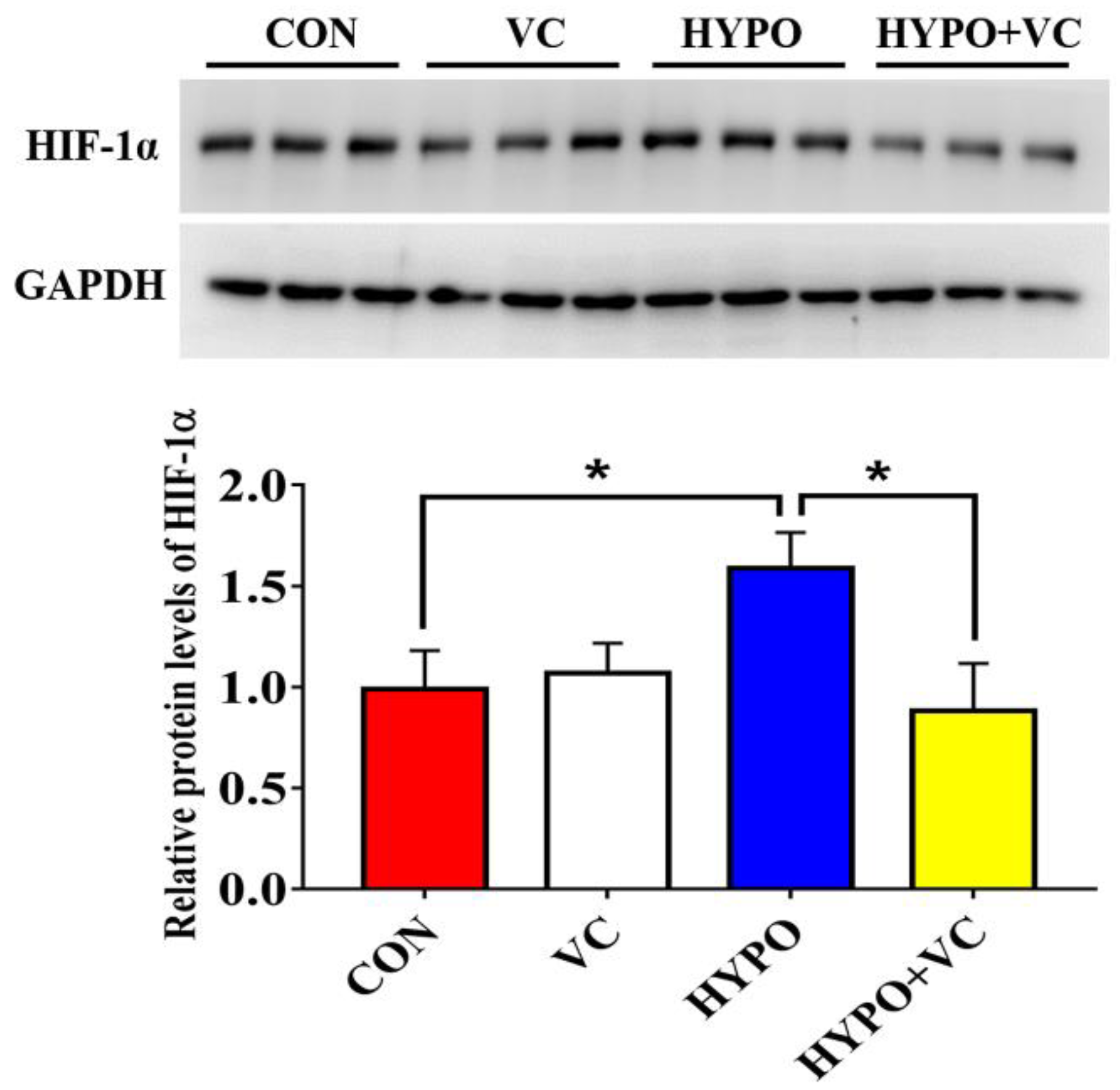 Antioxidants 11 00935 g002