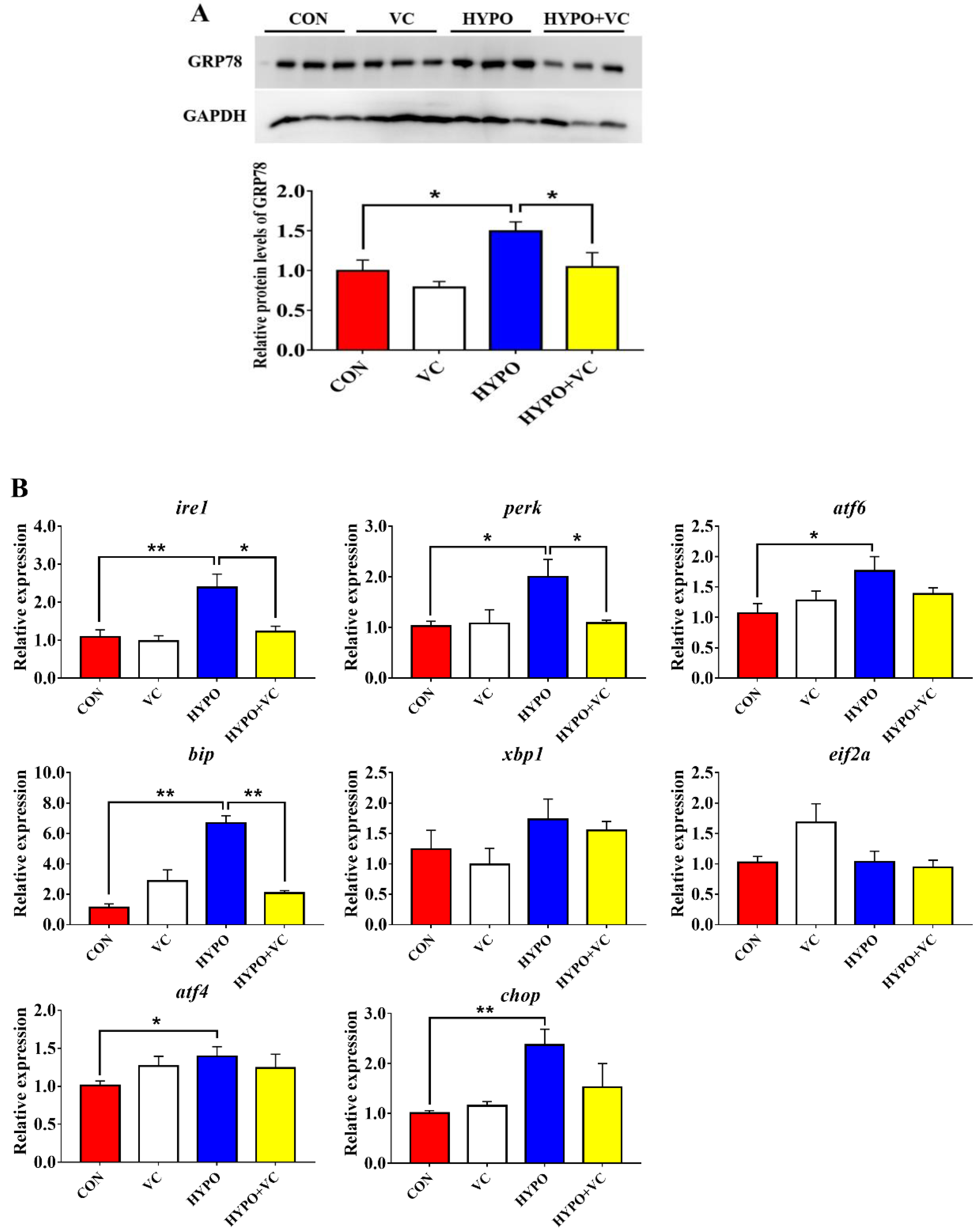 Antioxidants 11 00935 g006