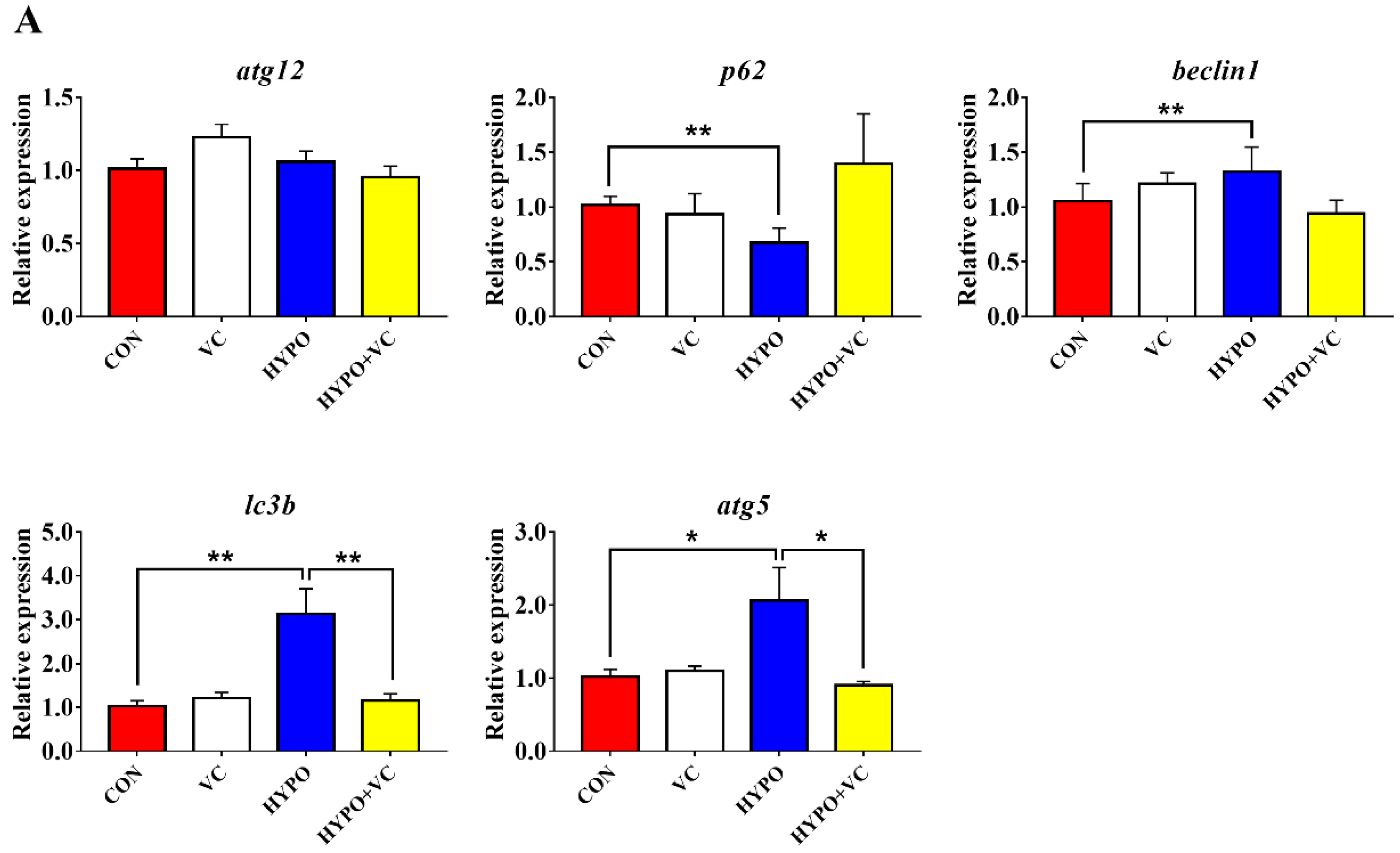 Antioxidants 11 00935 g007a
