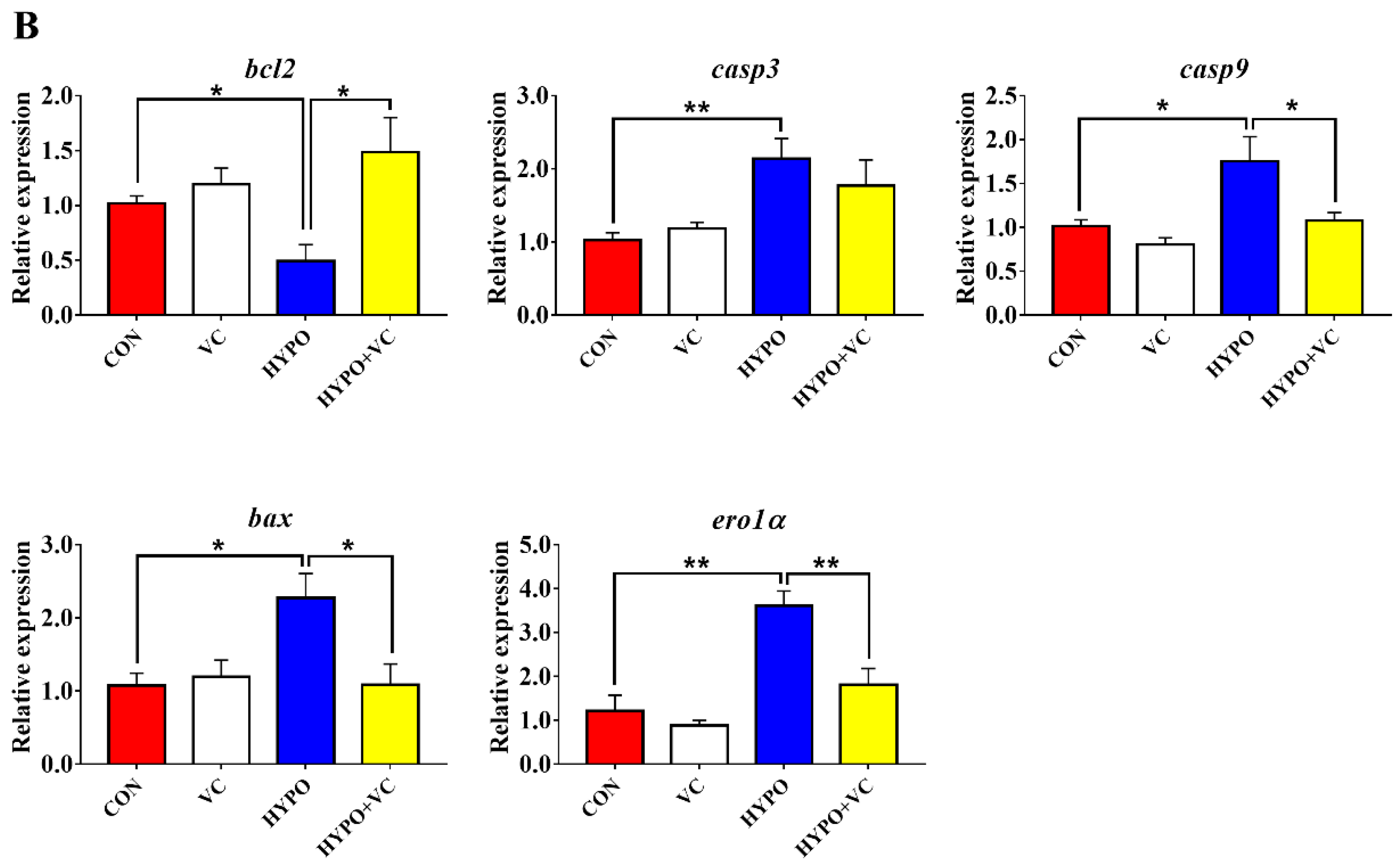 Antioxidants 11 00935 g007b