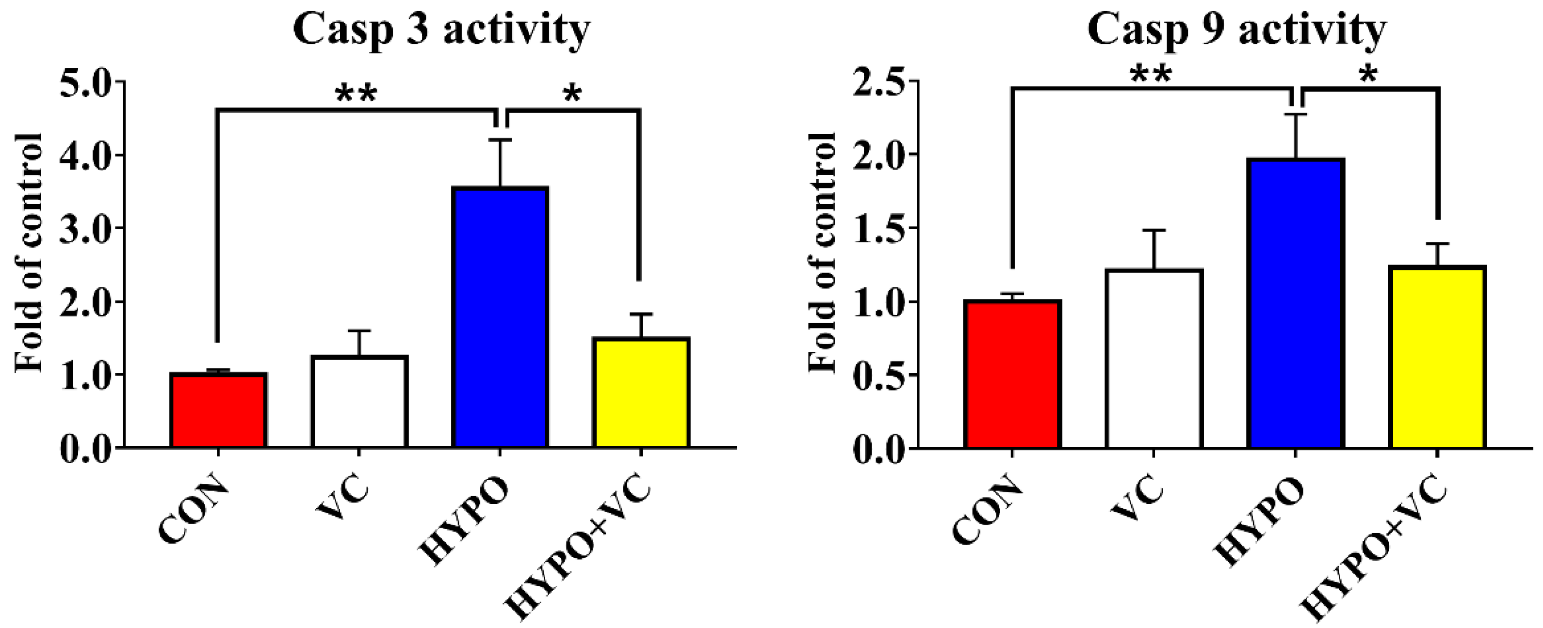 Antioxidants 11 00935 g008