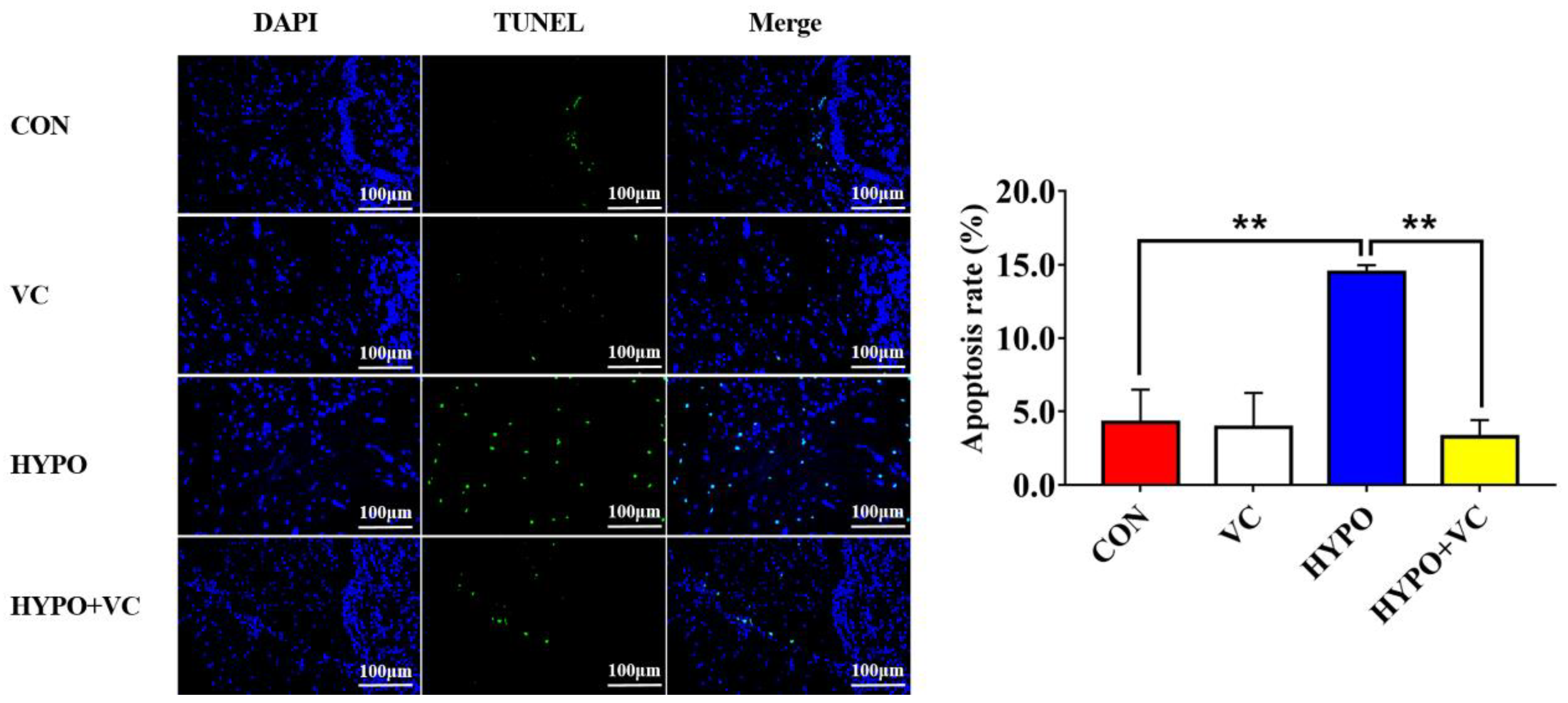 Antioxidants 11 00935 g009