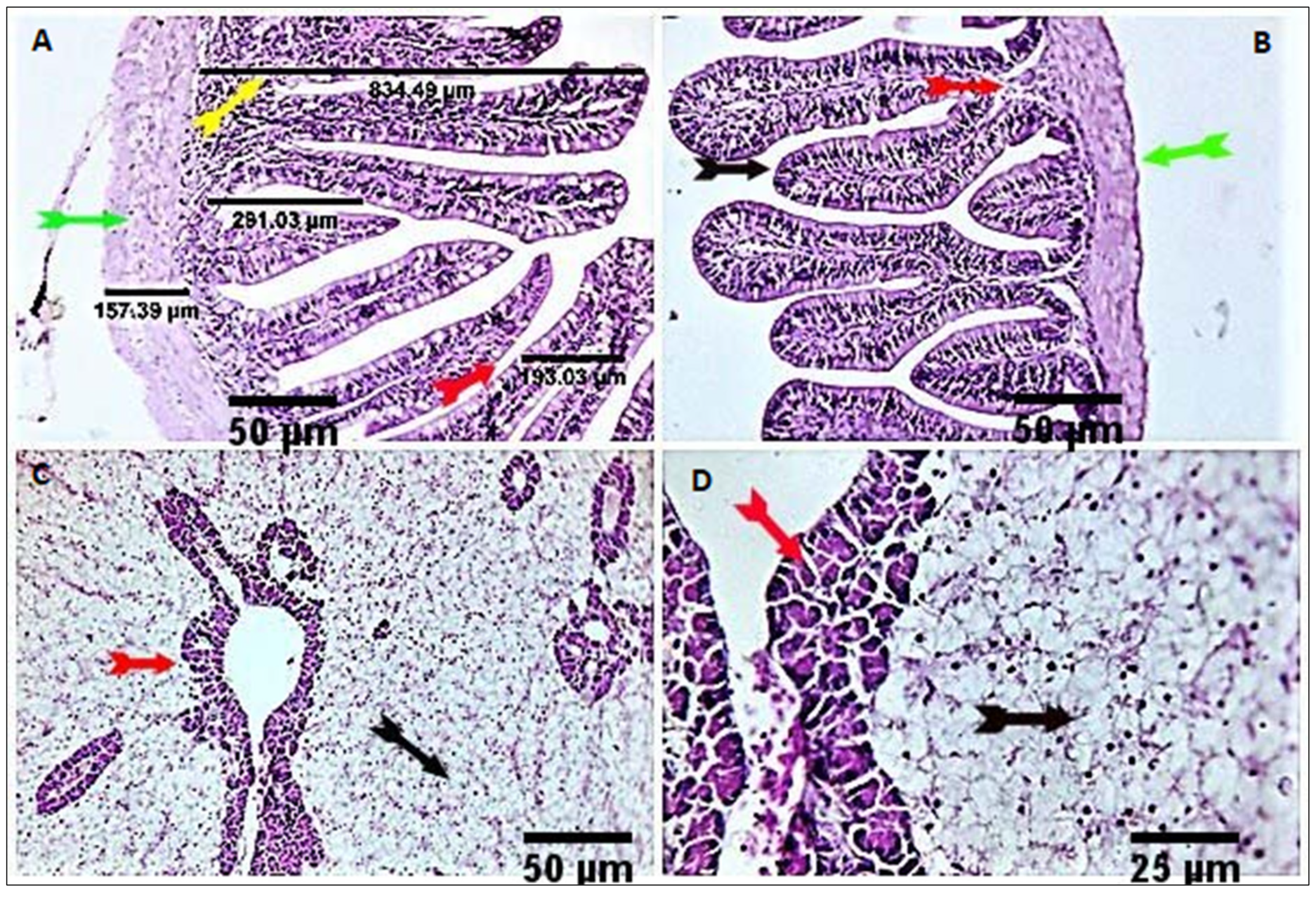 Antioxidants 11 00937 g002