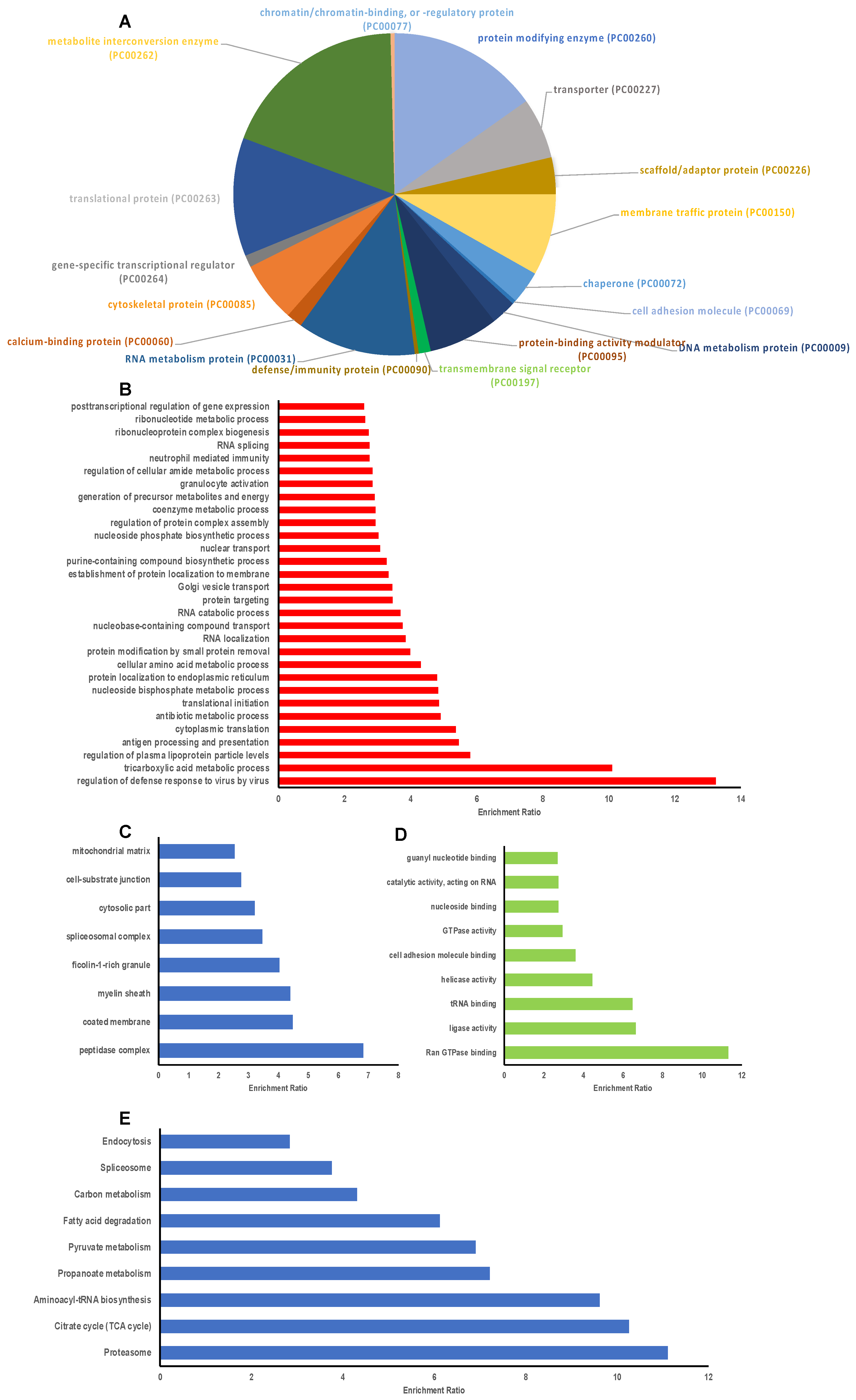 Antioxidants 11 00940 g006 Antioxidants 11 00940 g006