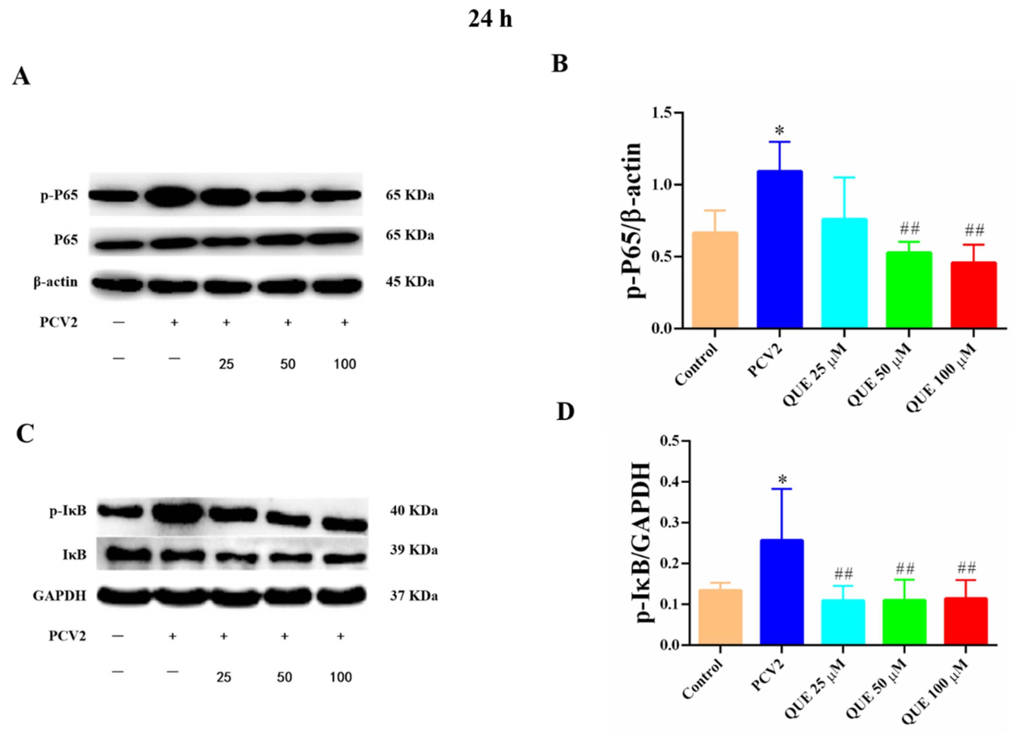 Antioxidants 11 00941 g007