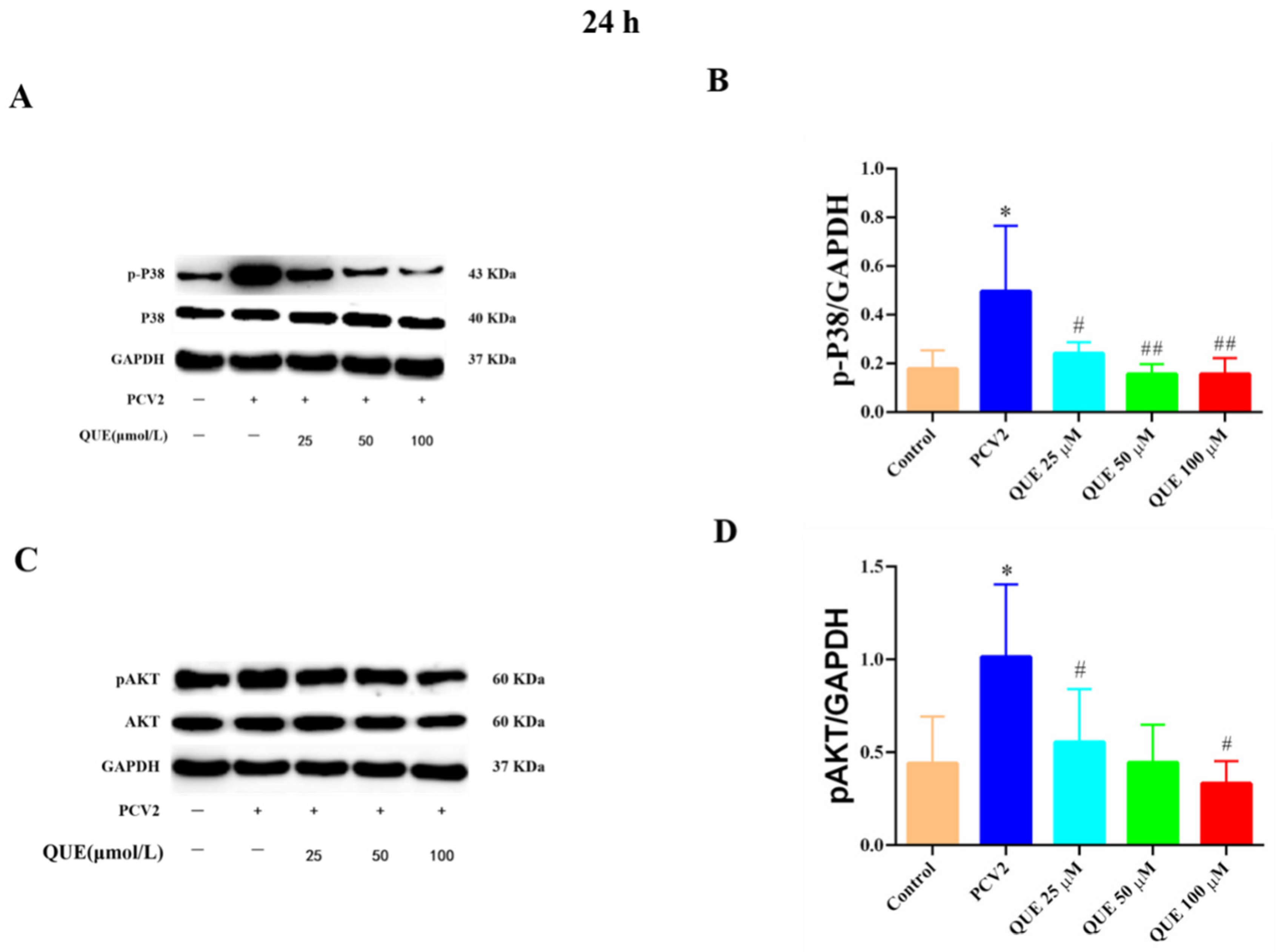 Antioxidants 11 00941 g009