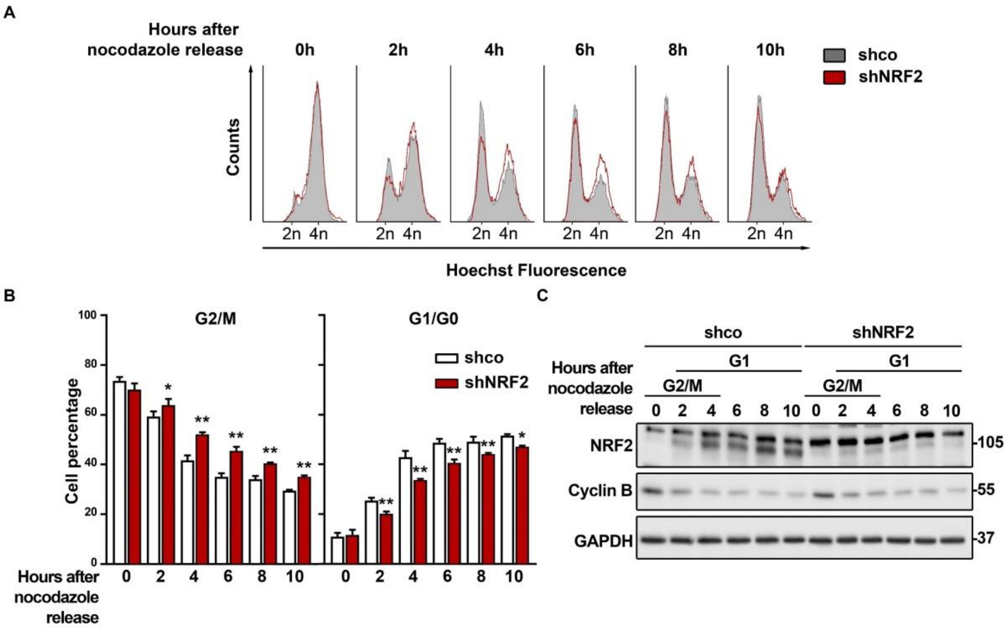 Antioxidants 11 00946 g005