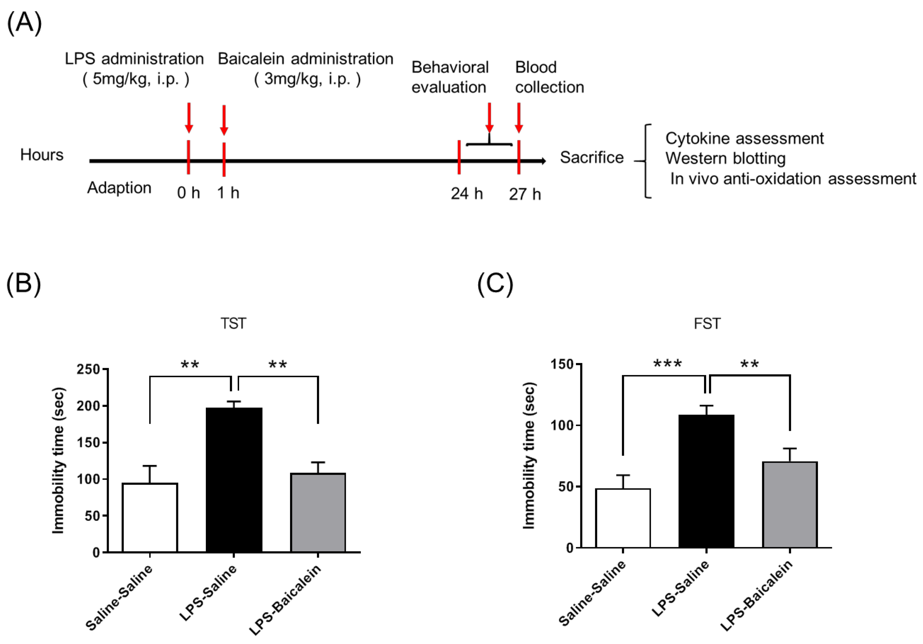Antioxidants 11 00947 g003