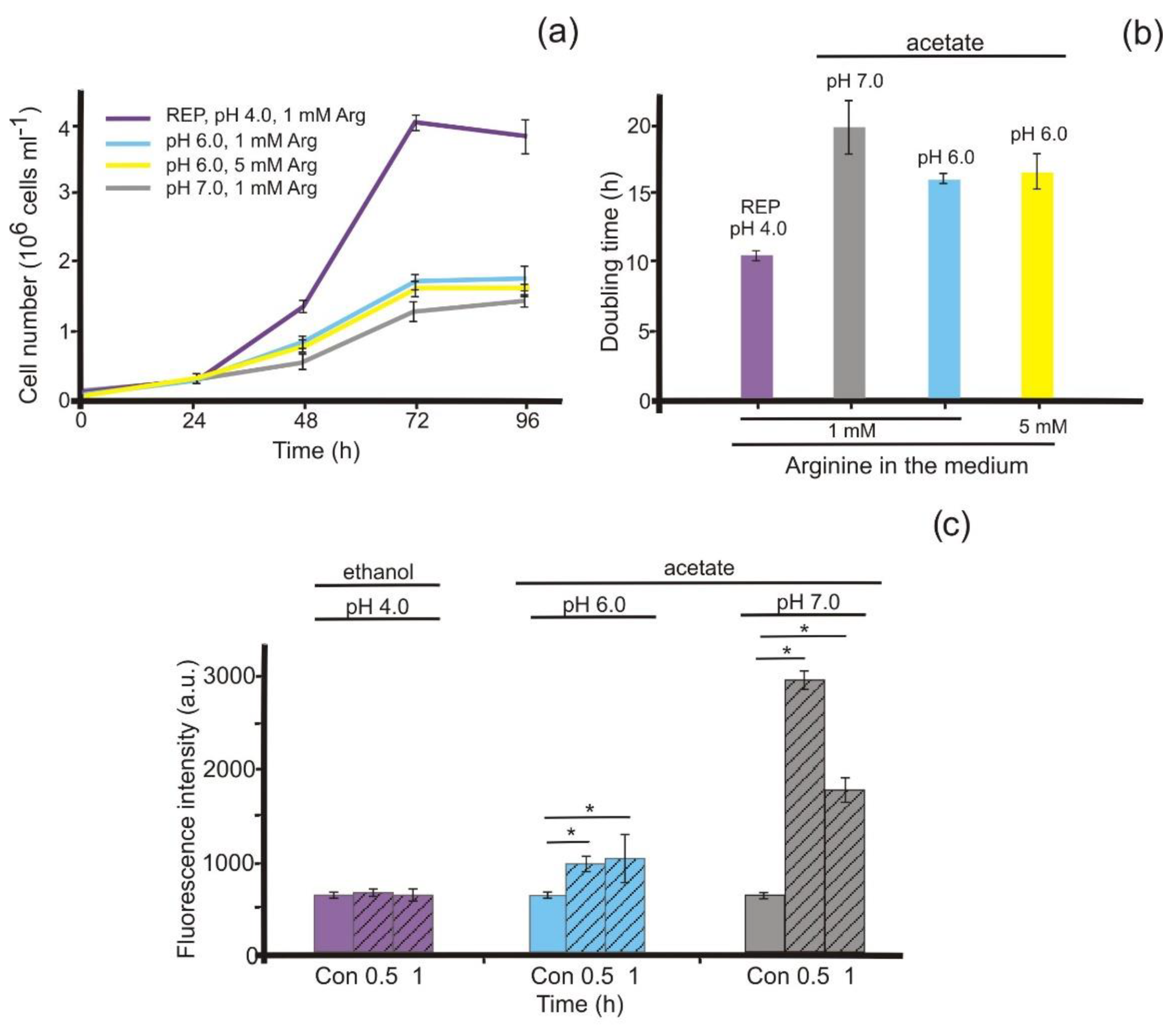 Antioxidants 11 00949 g001