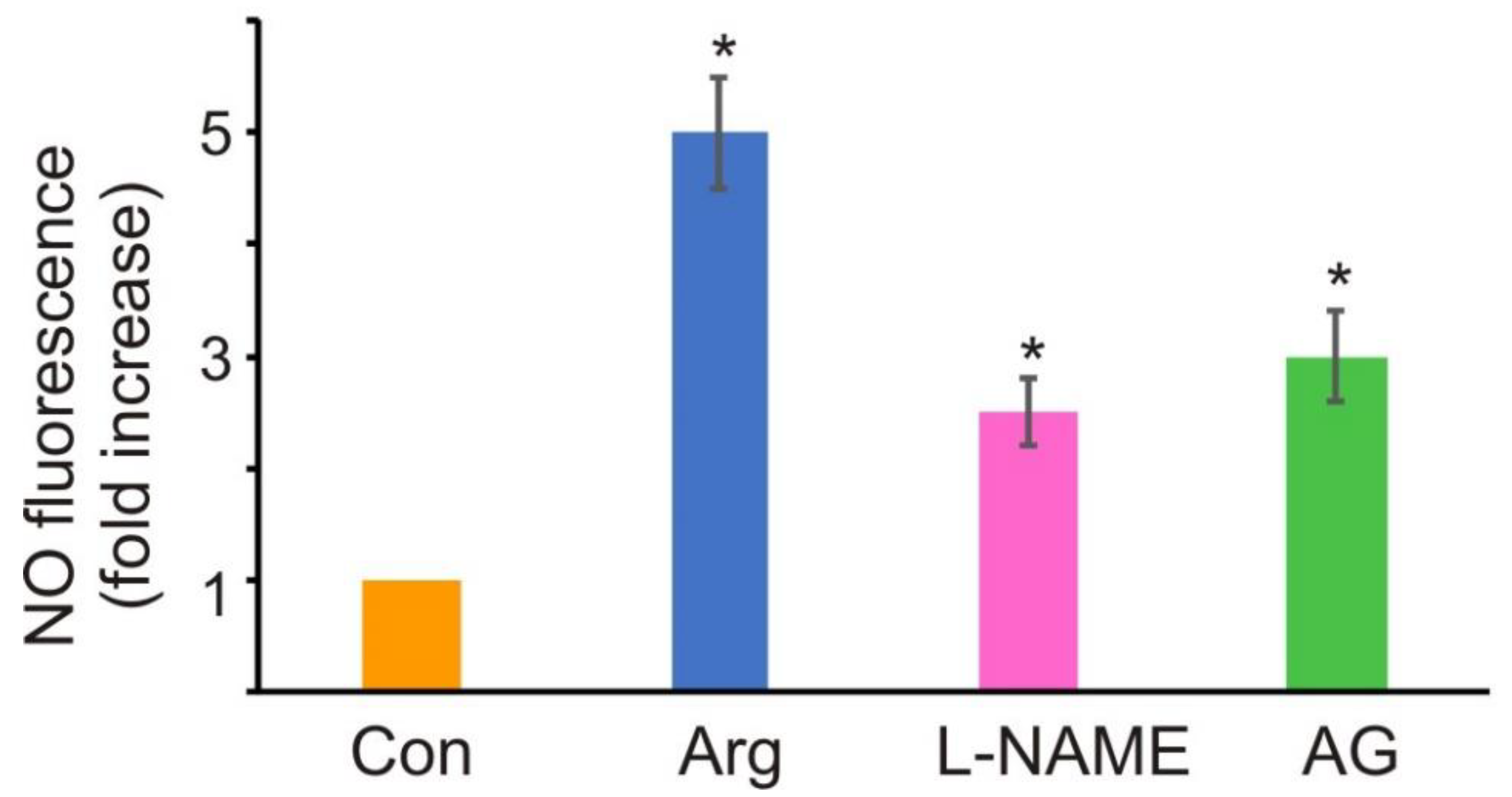 Antioxidants 11 00949 g003