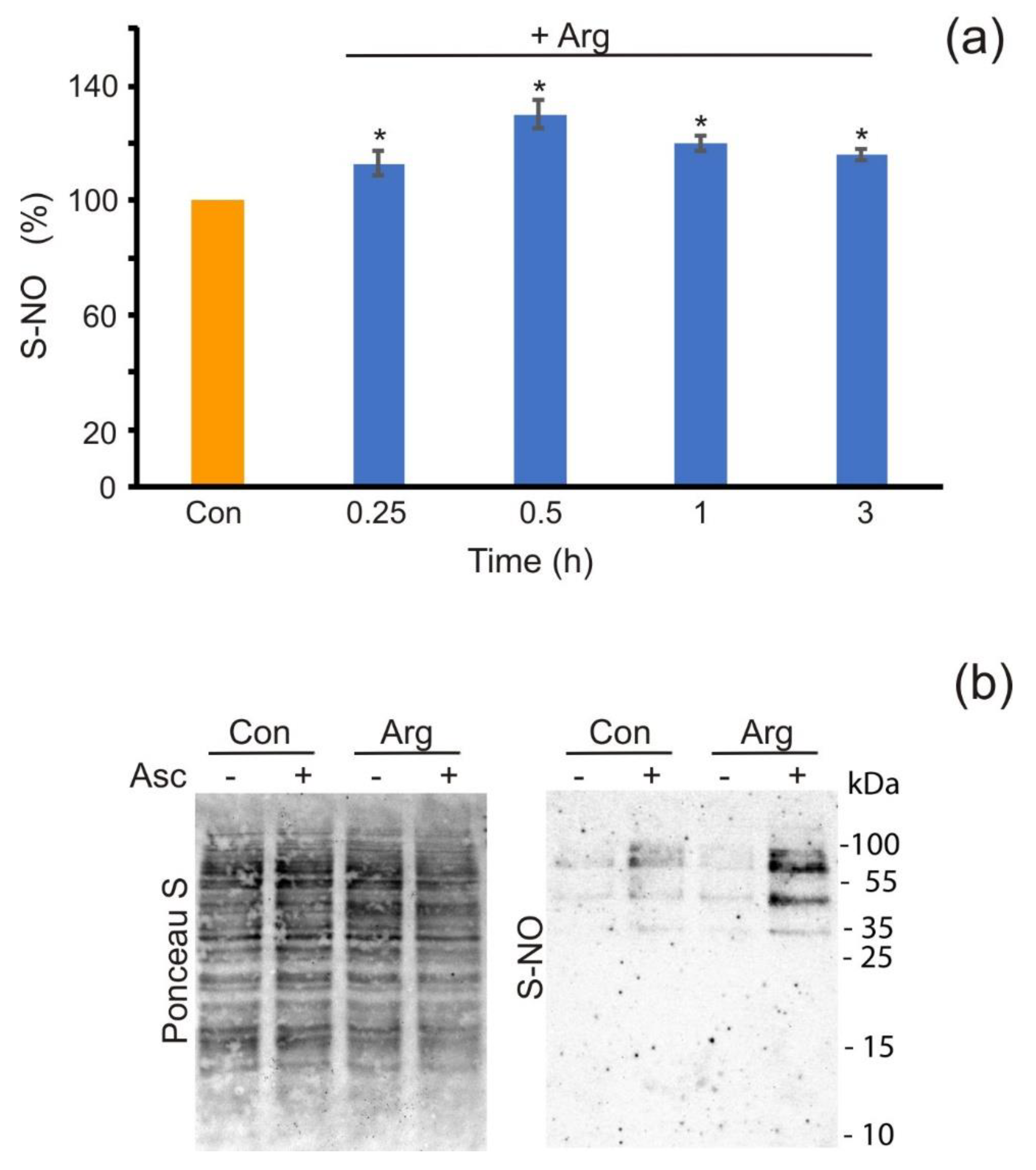 Antioxidants 11 00949 g005