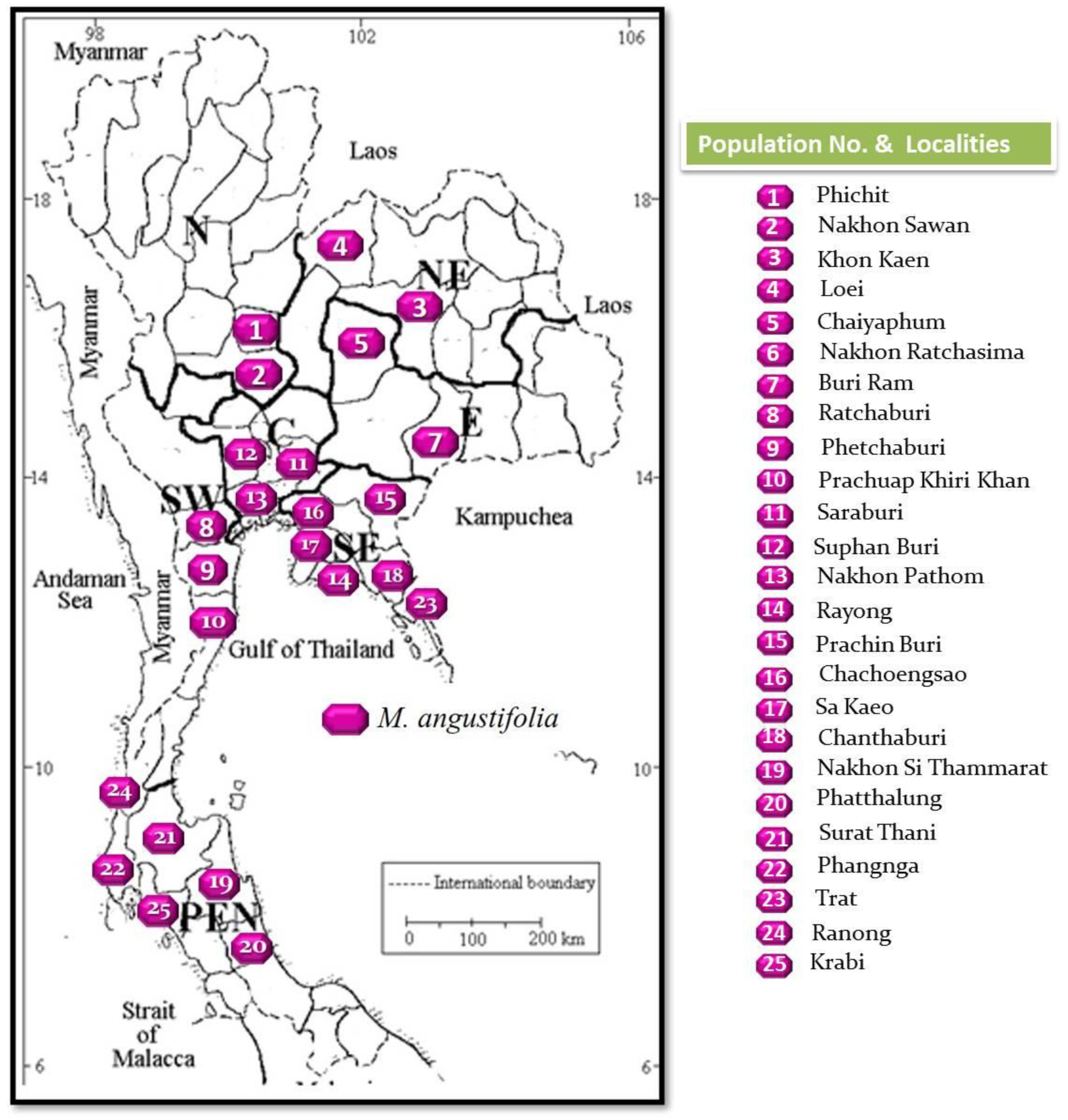 Antioxidants 11 00952 g002