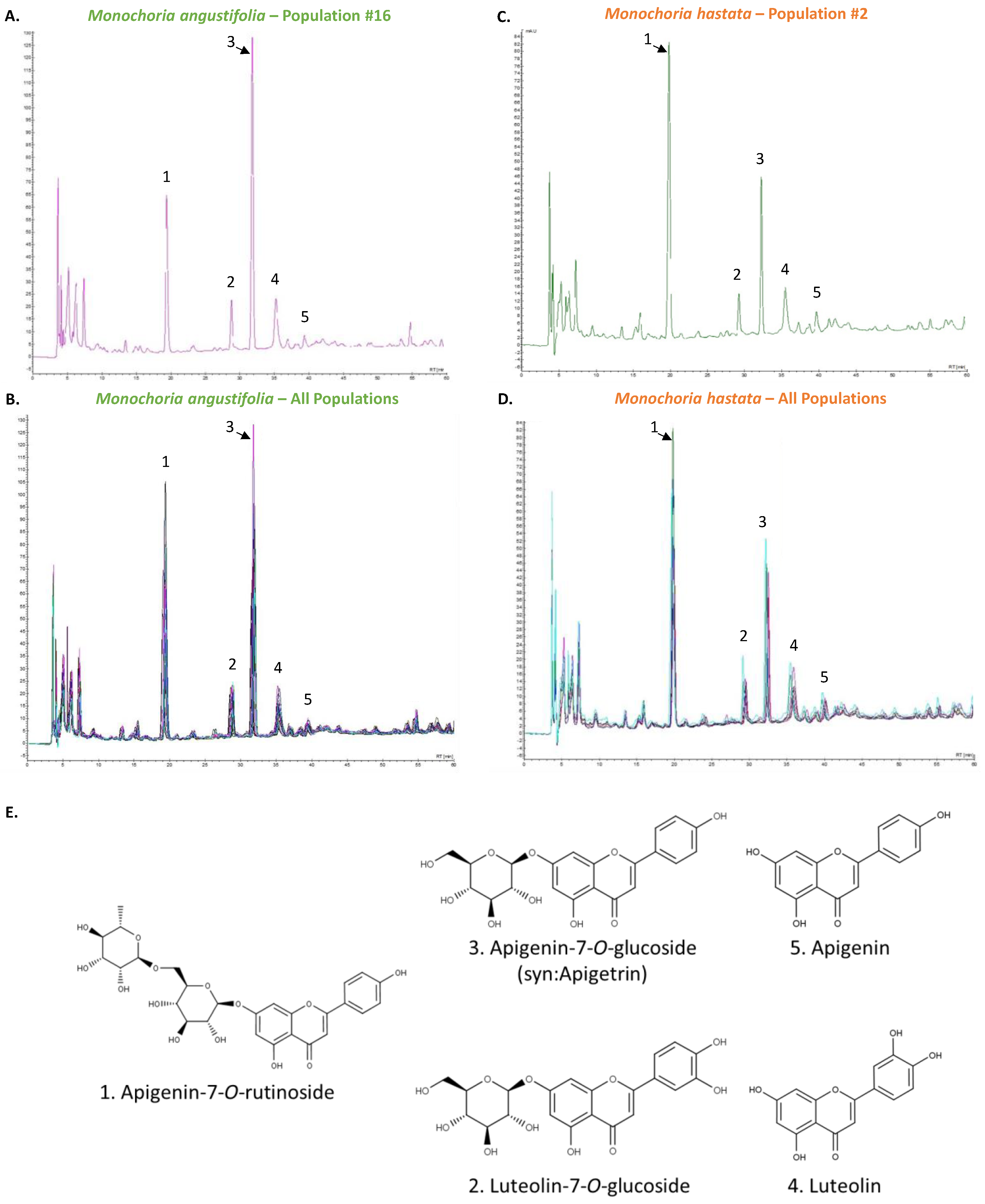 Antioxidants 11 00952 g004
