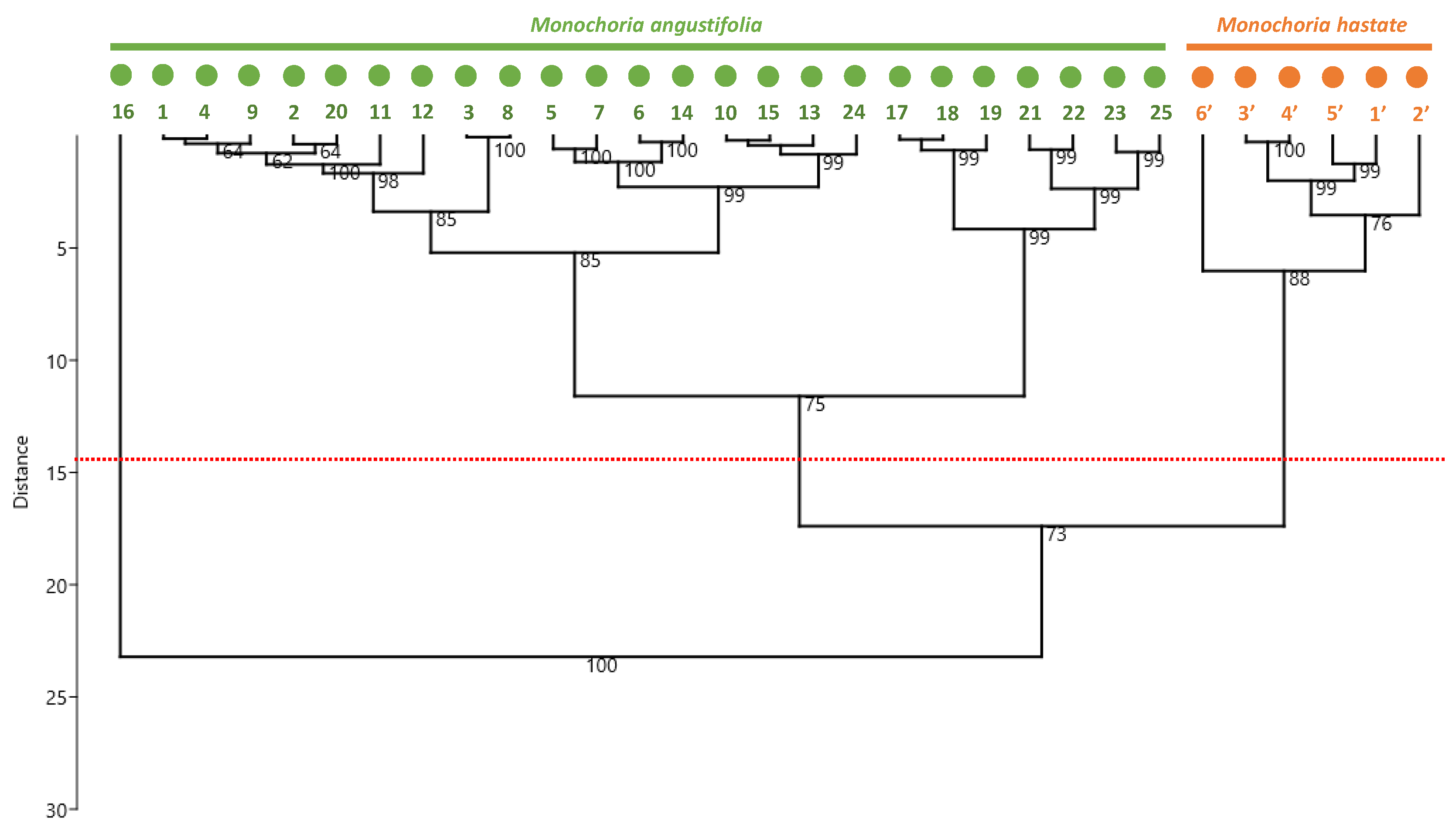 Antioxidants 11 00952 g006