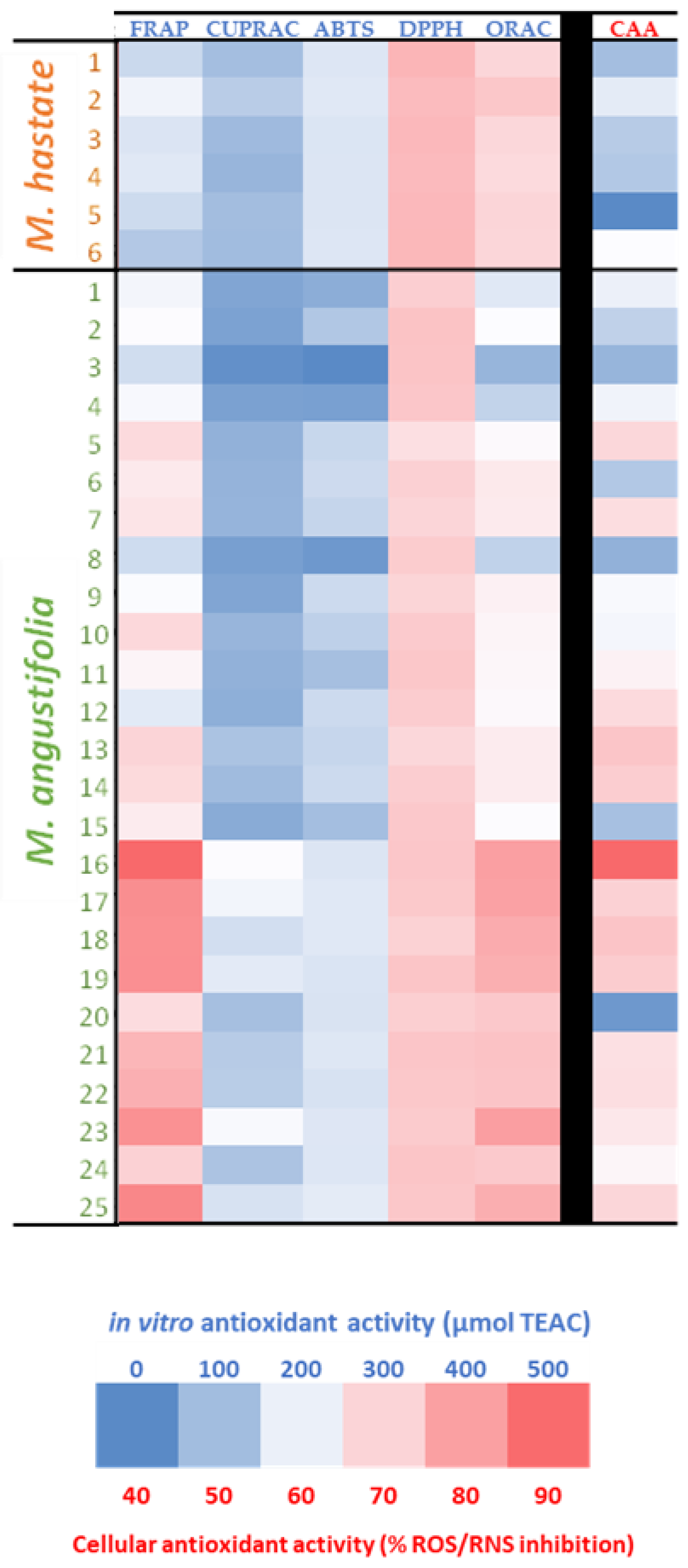 Antioxidants 11 00952 g007