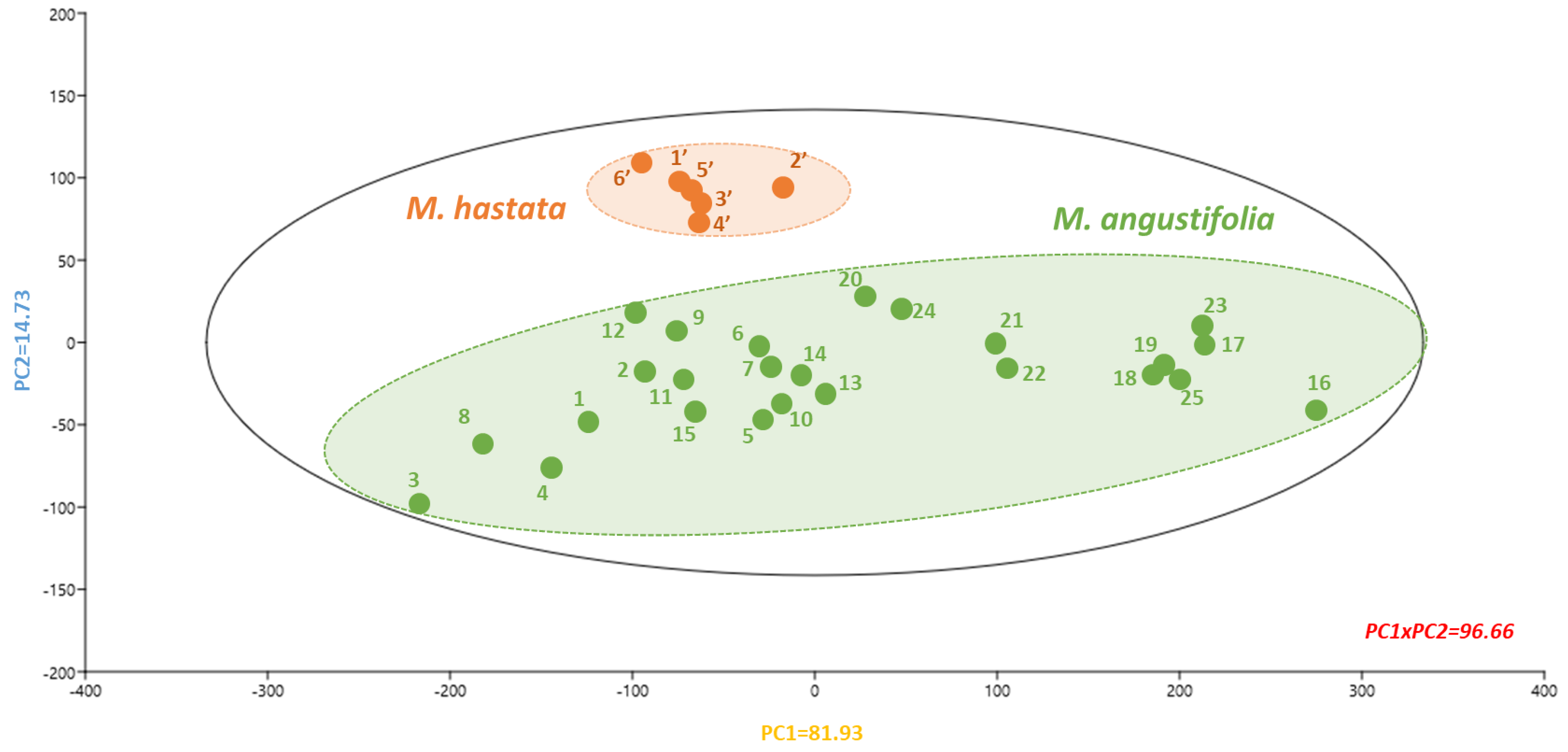 Antioxidants 11 00952 g008