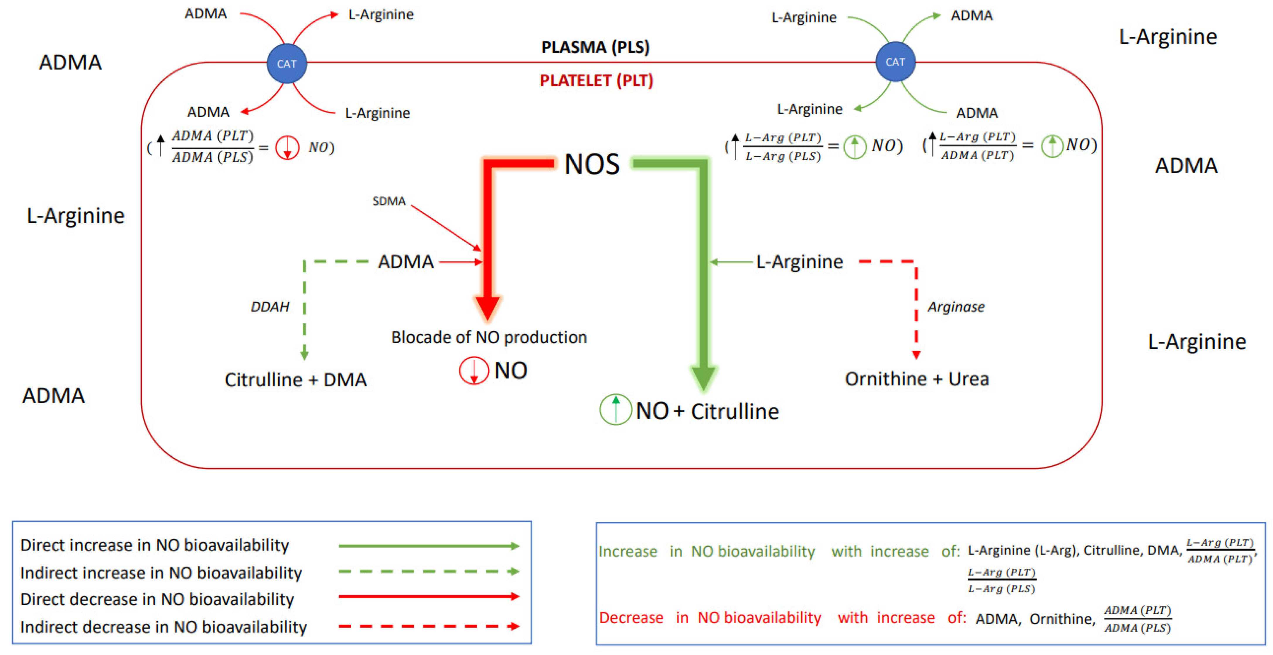 Antioxidants 11 00955 g001