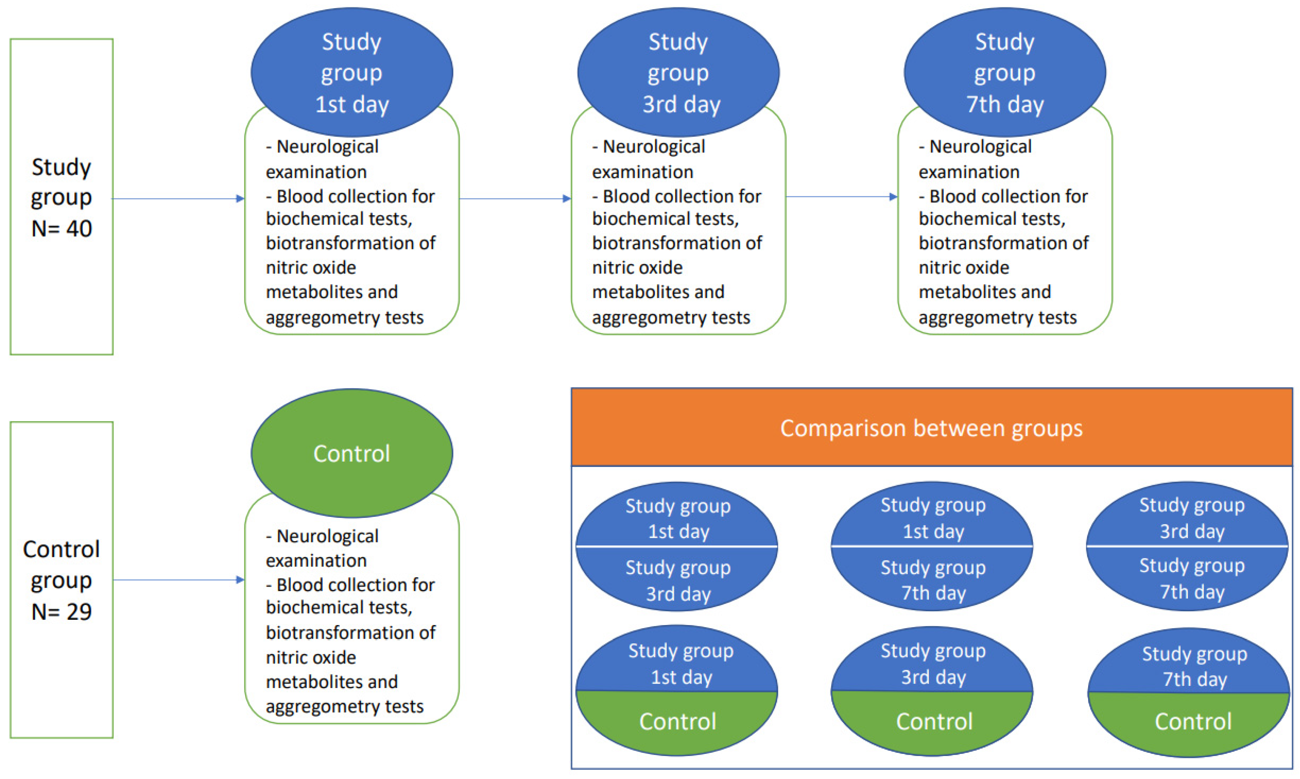 Antioxidants 11 00955 g003