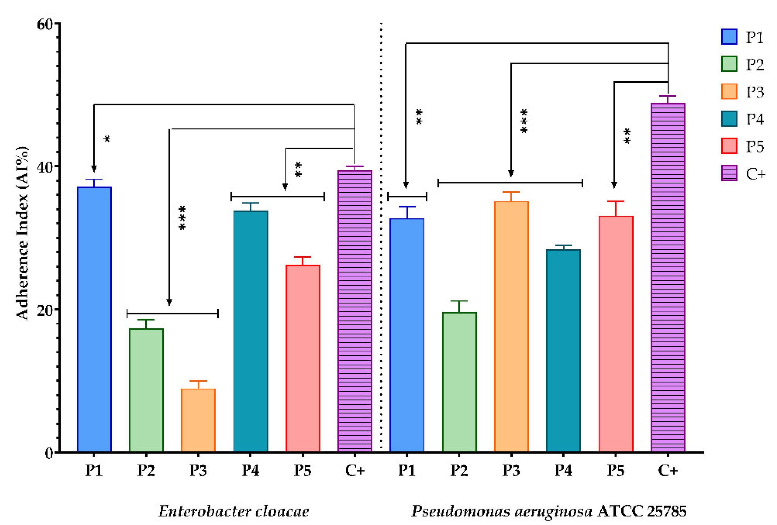 Antioxidants 11 00959 g002 Antioxidants 11 00959 g002