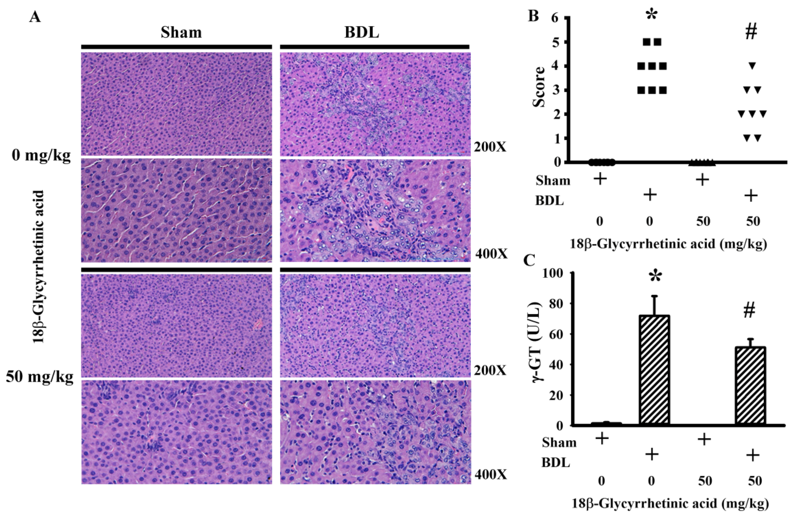 Antioxidants 11 00961 g003