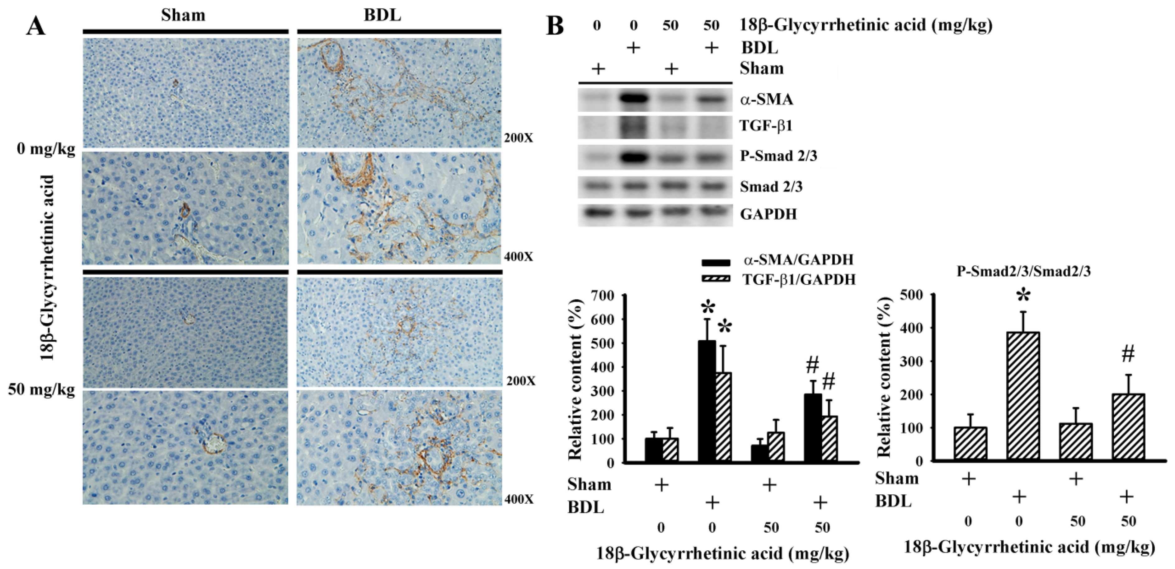 Antioxidants 11 00961 g006