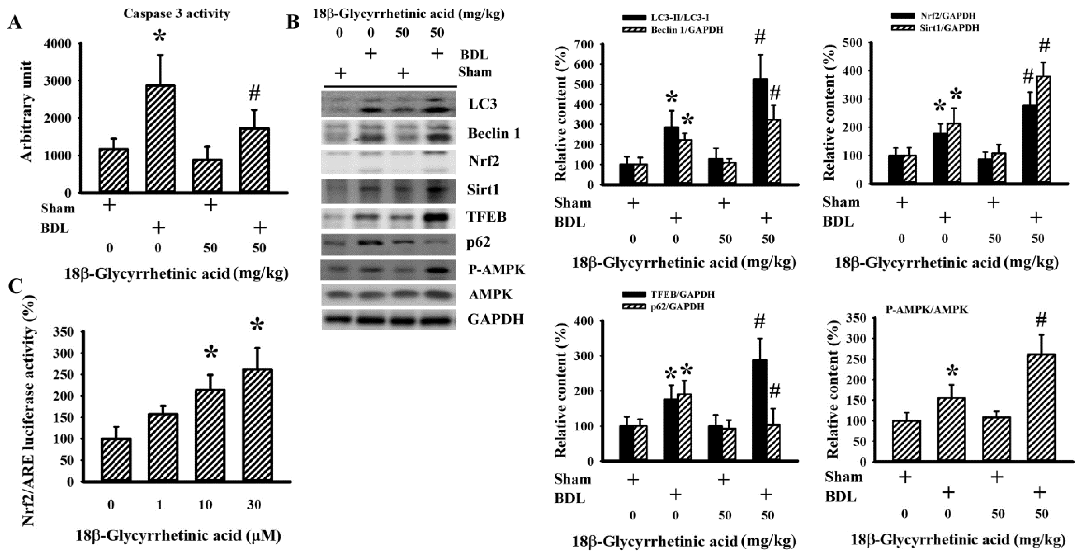 Antioxidants 11 00961 g010