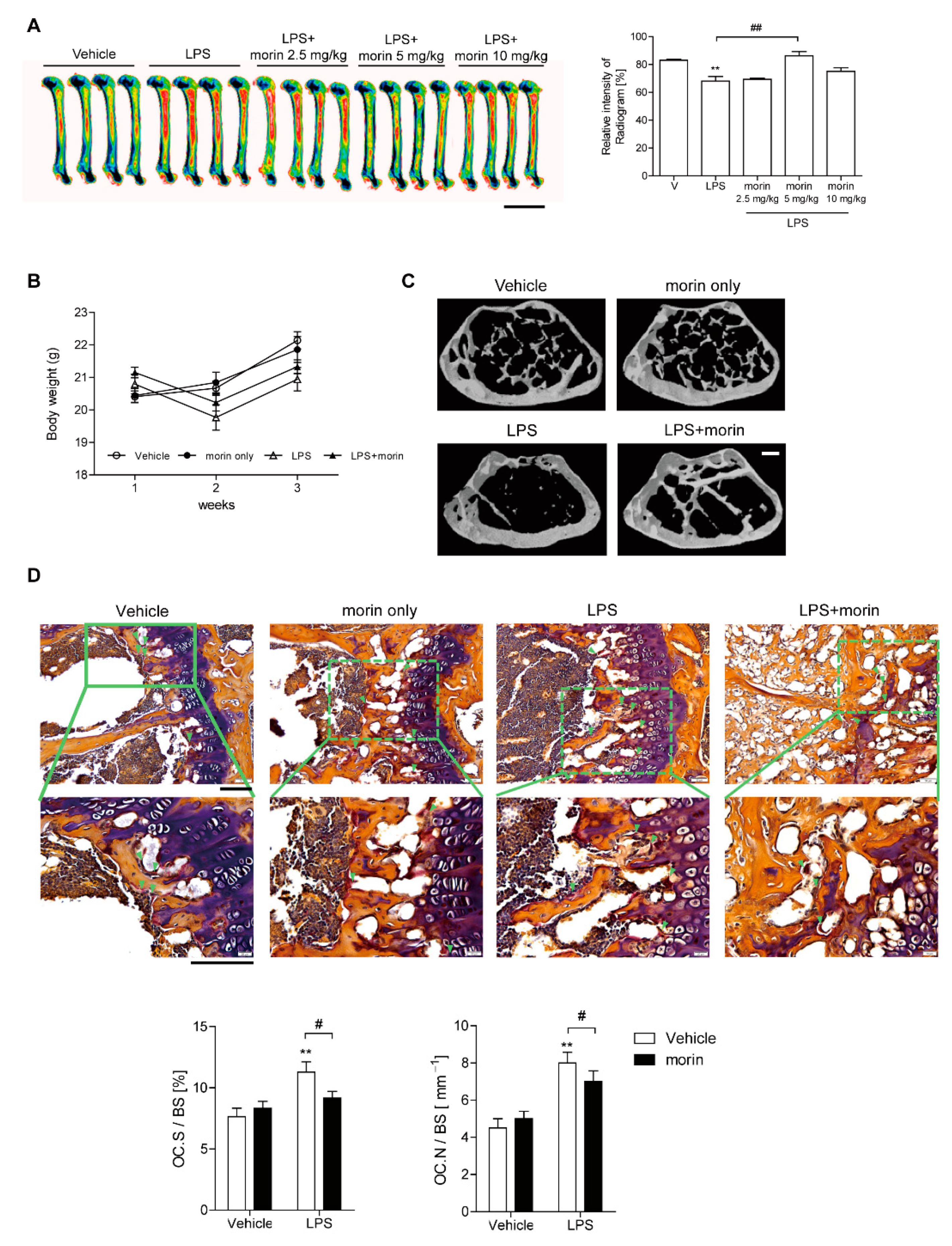 Antioxidants 11 00963 g001