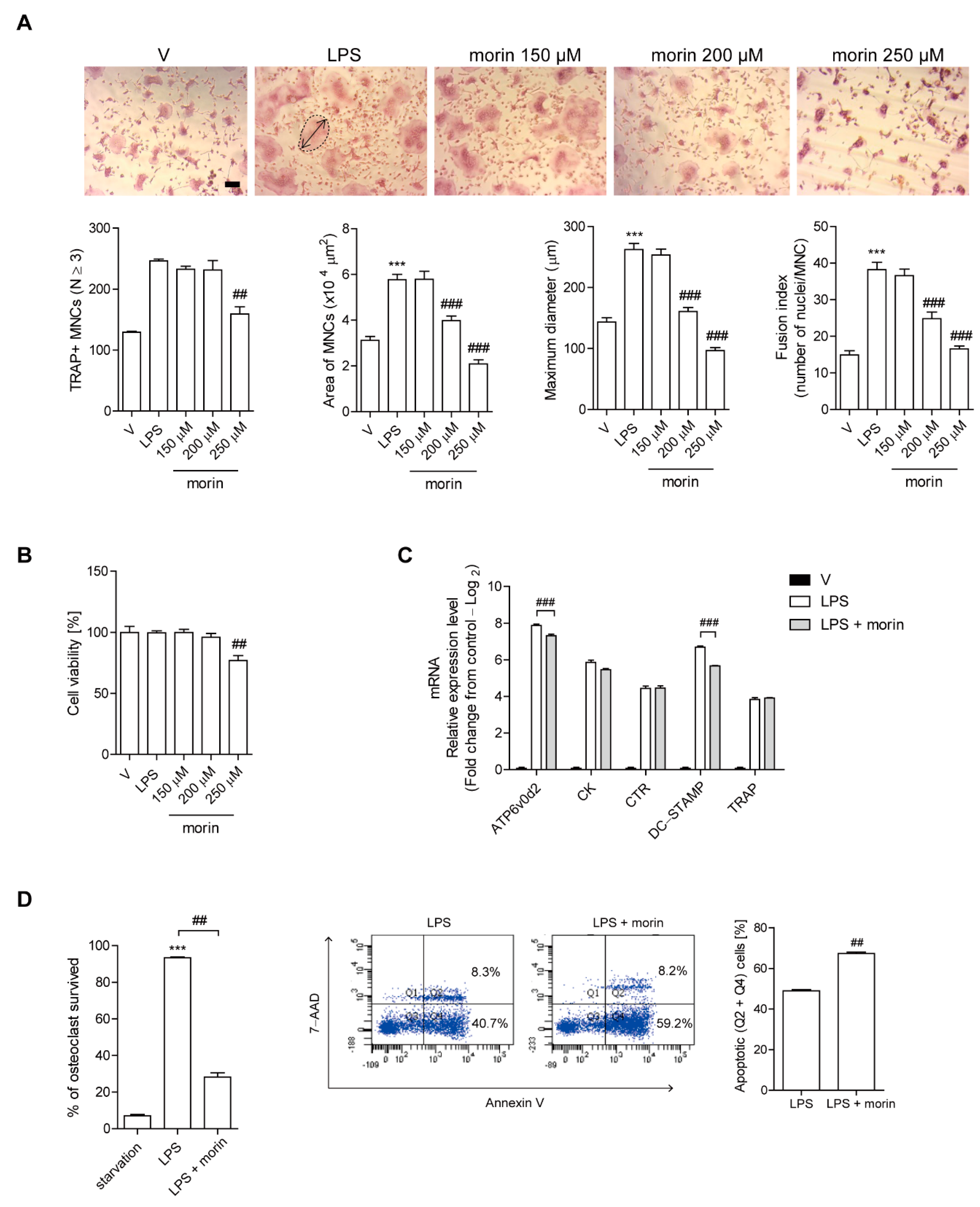 Antioxidants 11 00963 g002