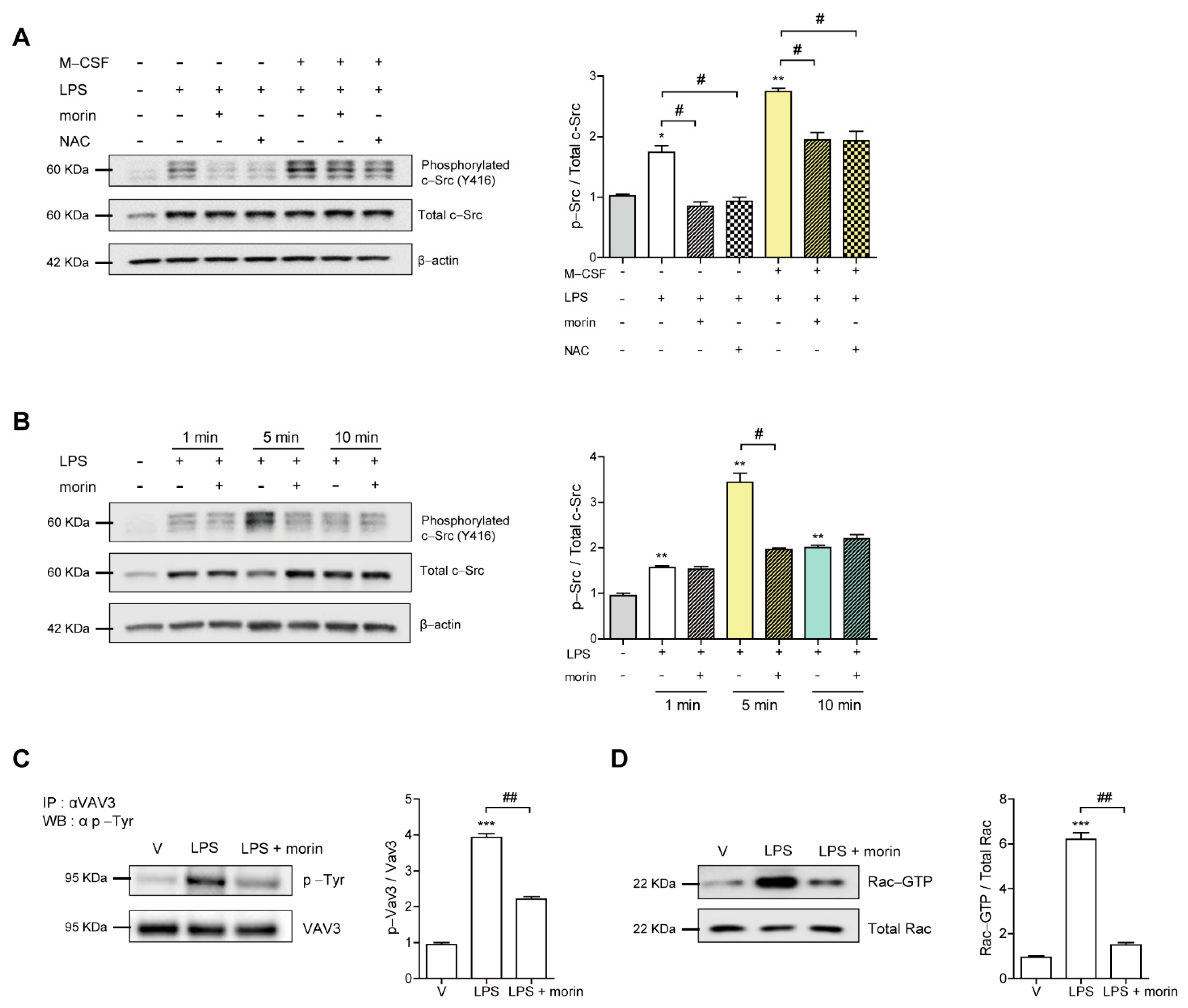 Antioxidants 11 00963 g004