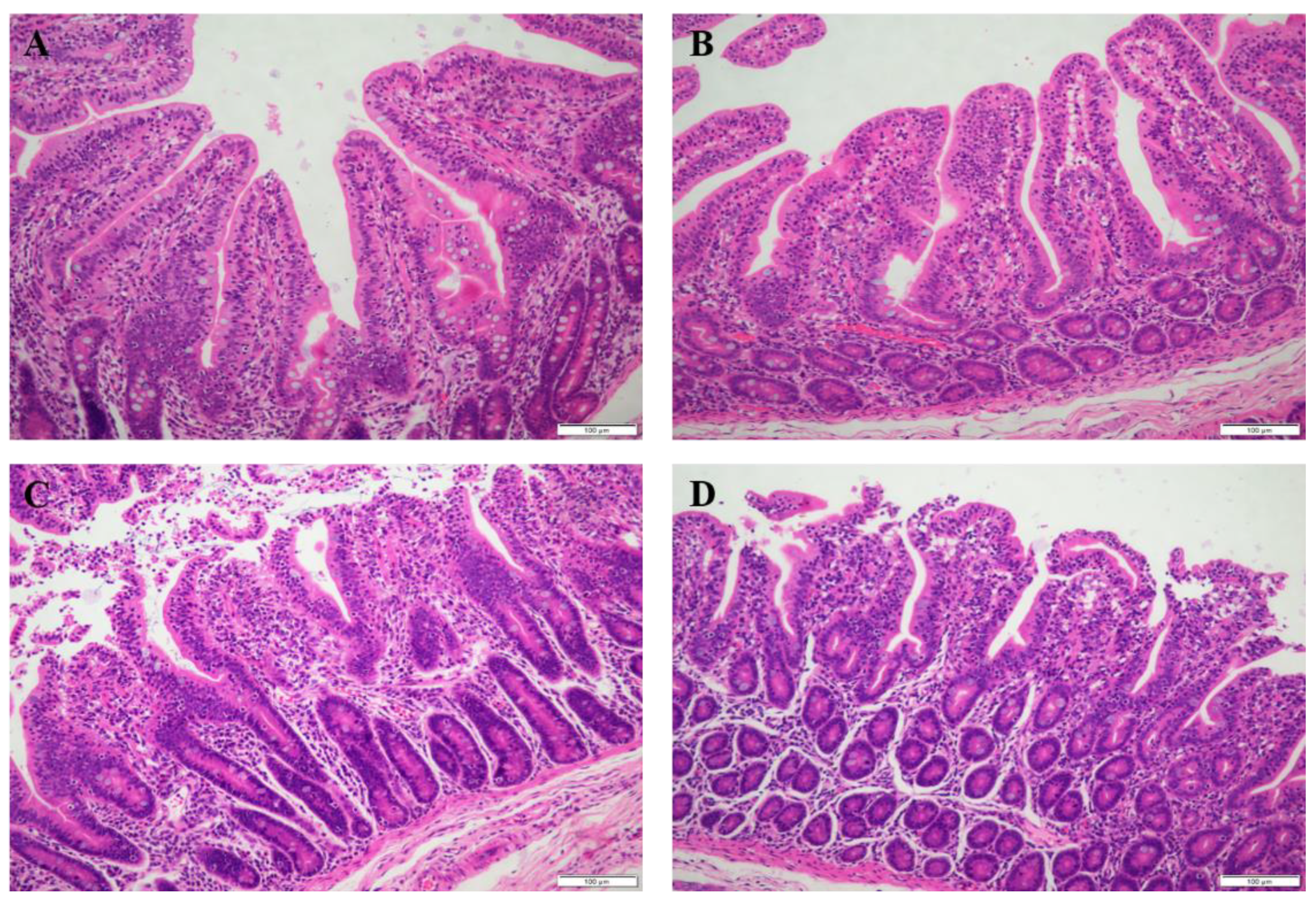 Antioxidants 11 00966 g001
