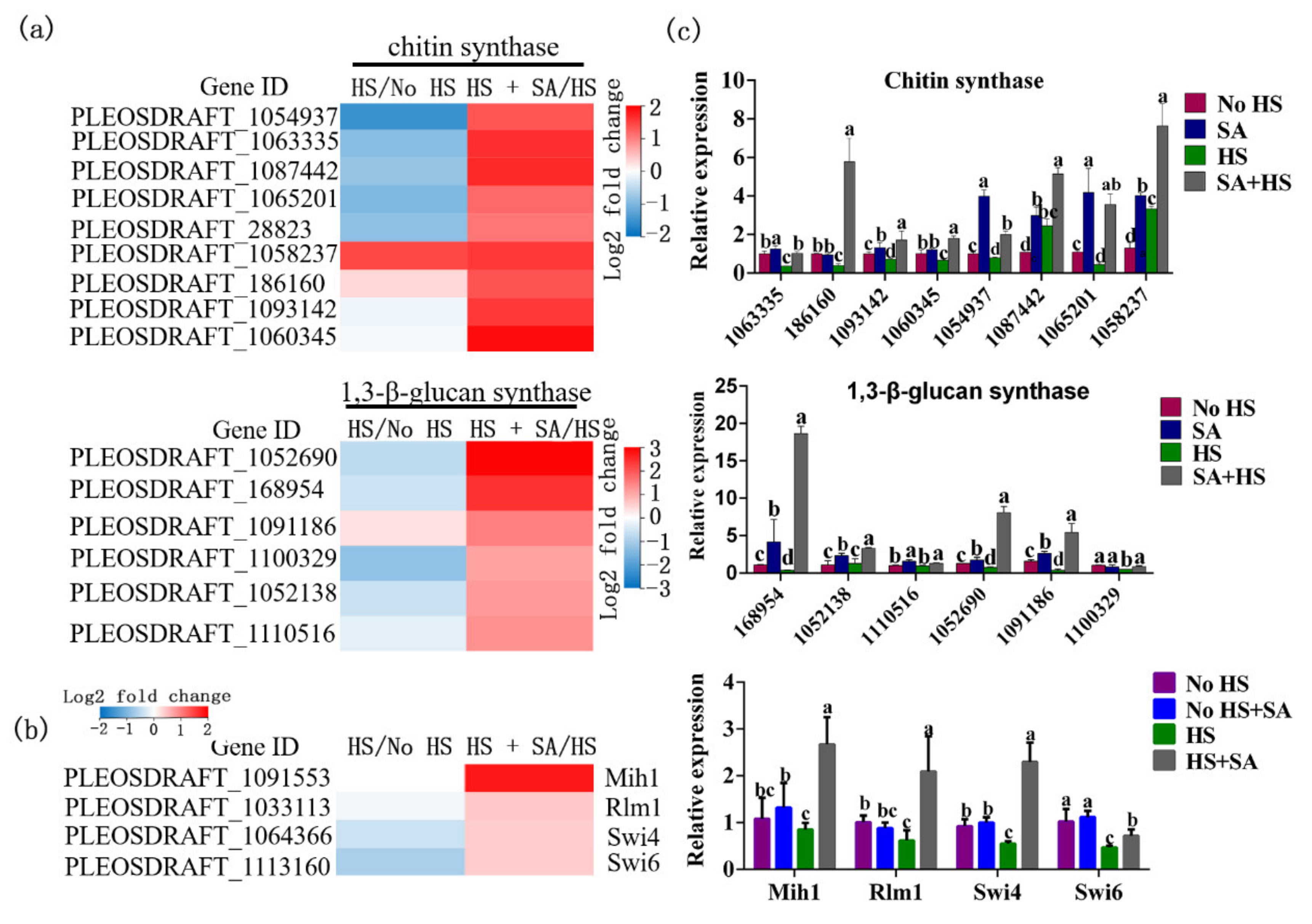 Antioxidants 11 00968 g006