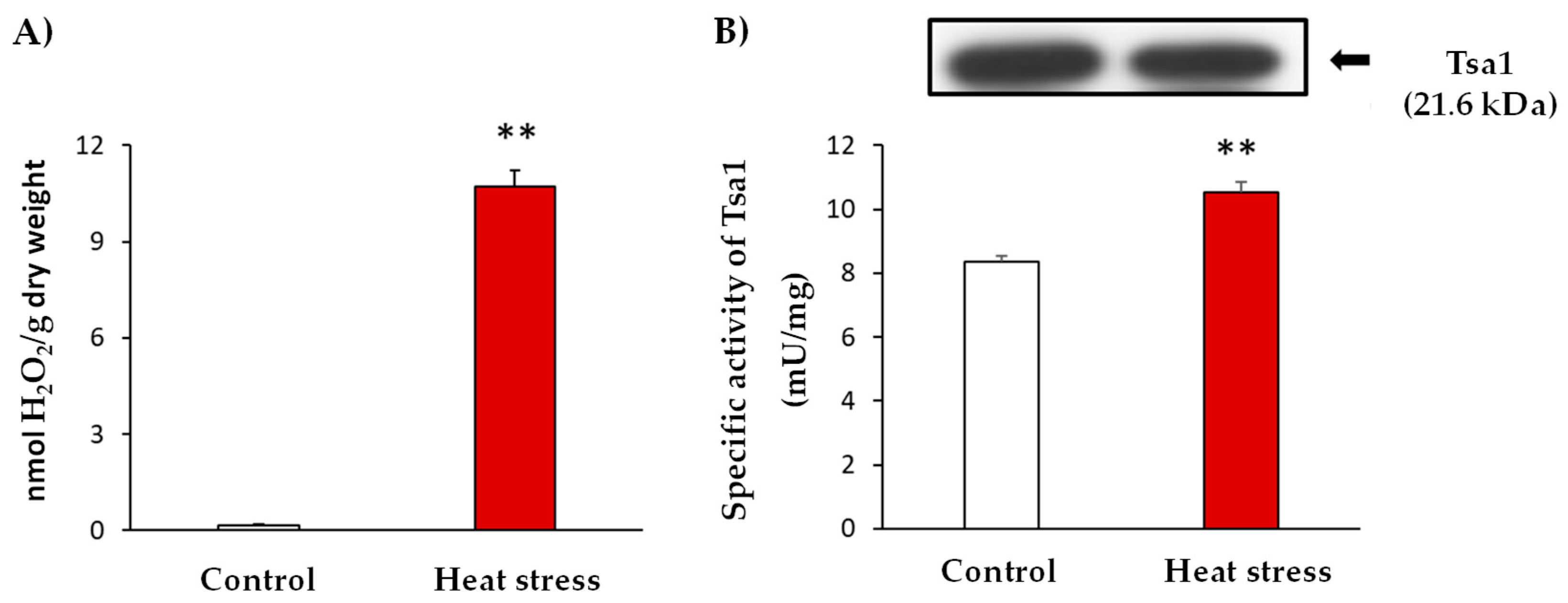 Antioxidants 11 00972 g001