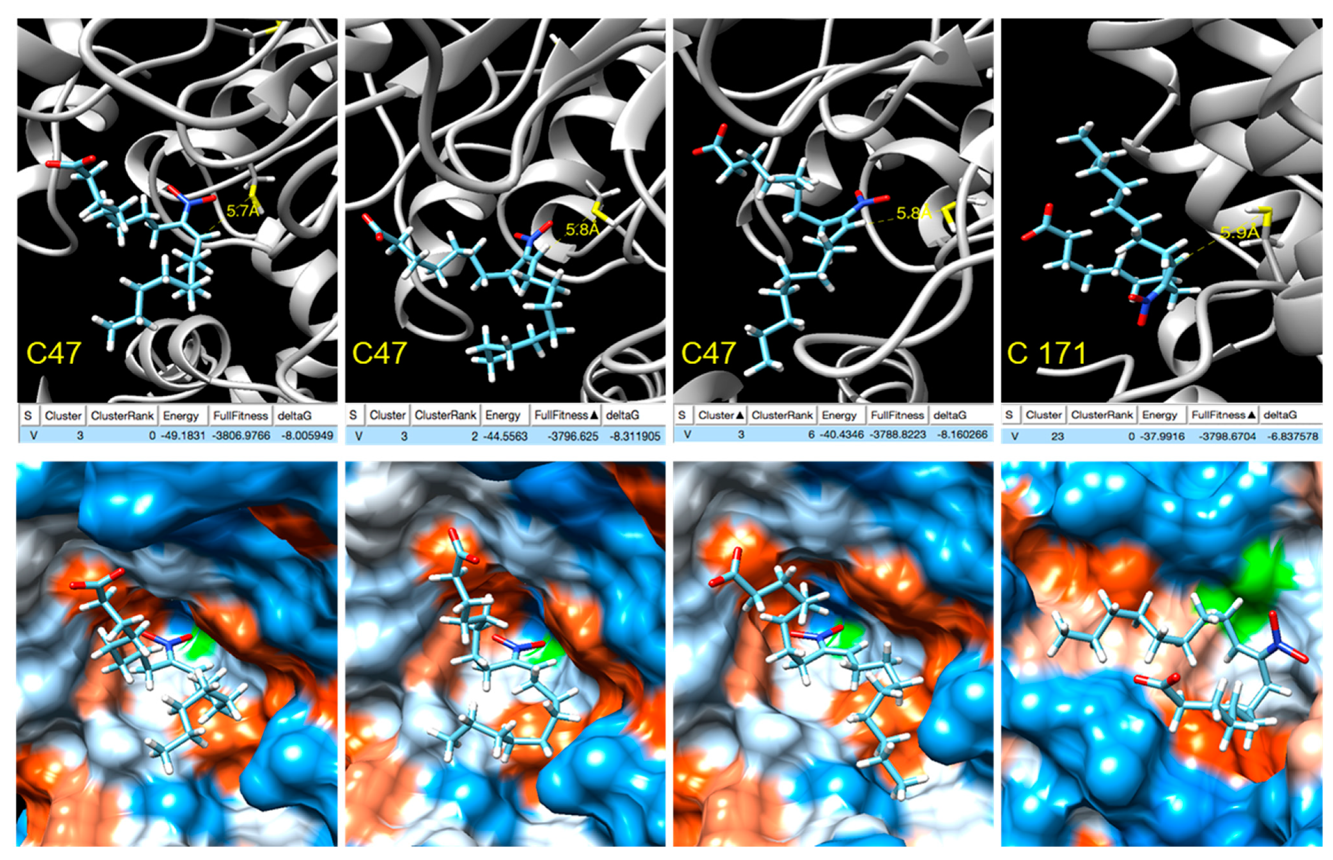 Antioxidants 11 00972 g007