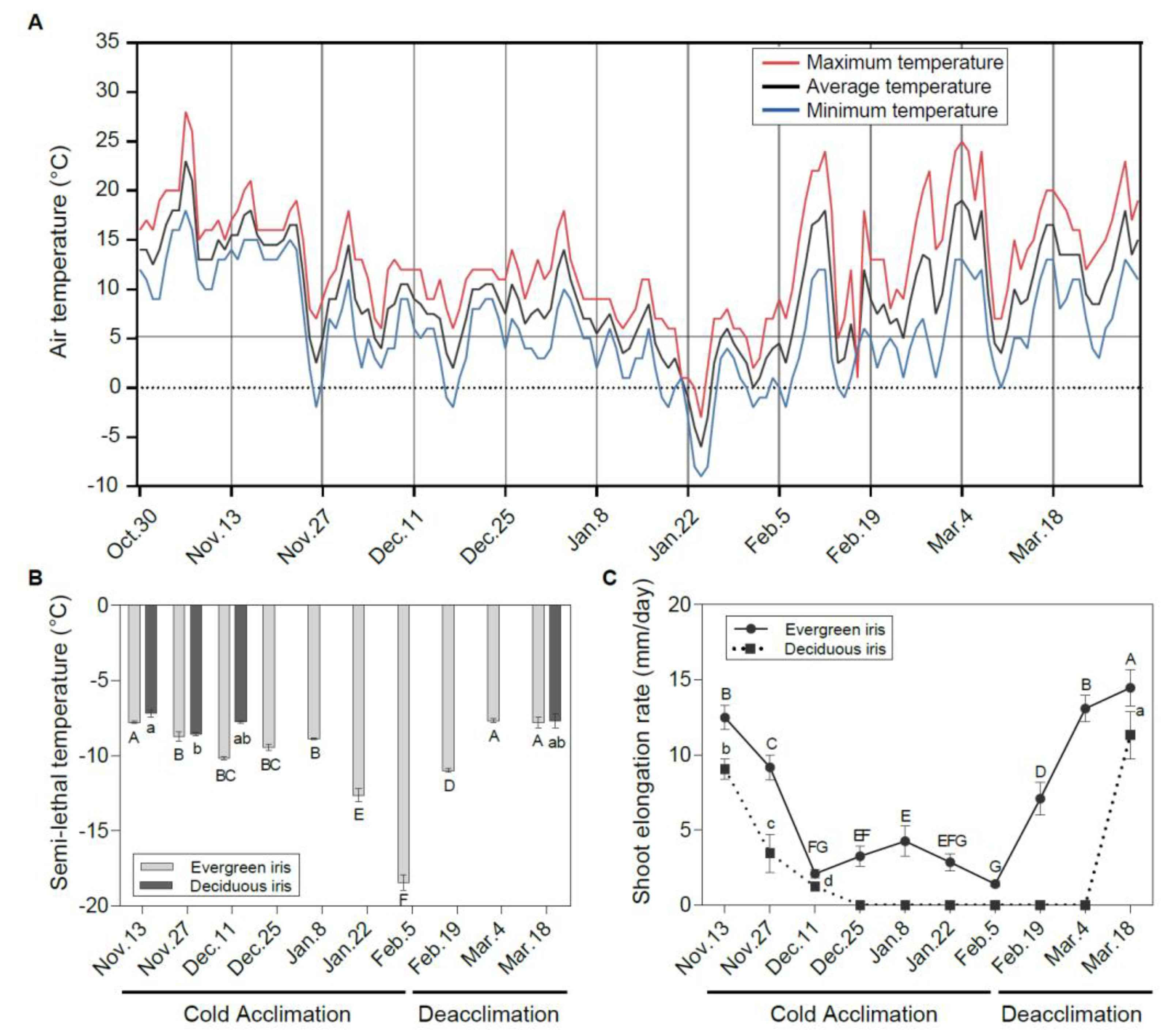 Antioxidants 11 00977 g001