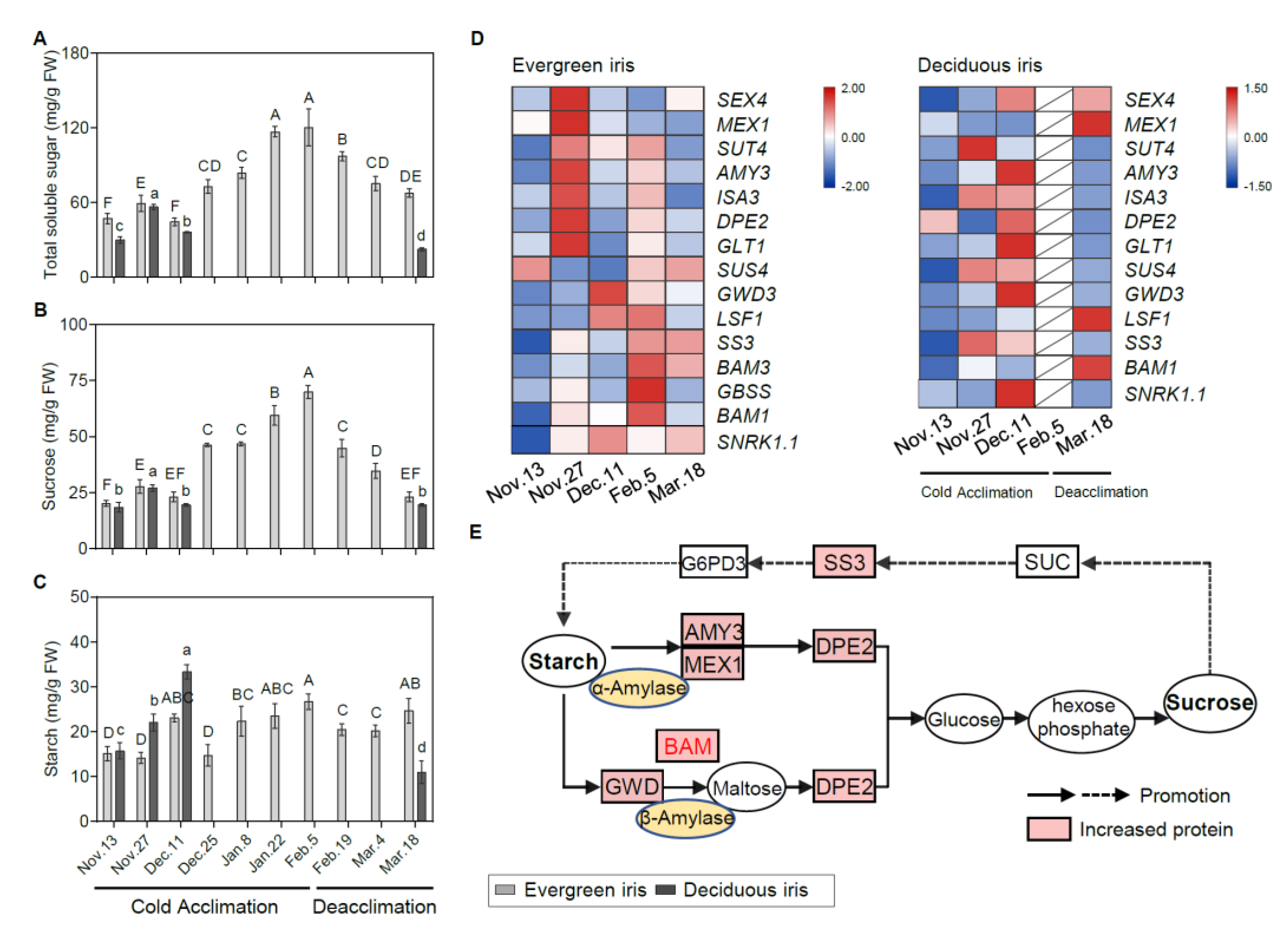 Antioxidants 11 00977 g003