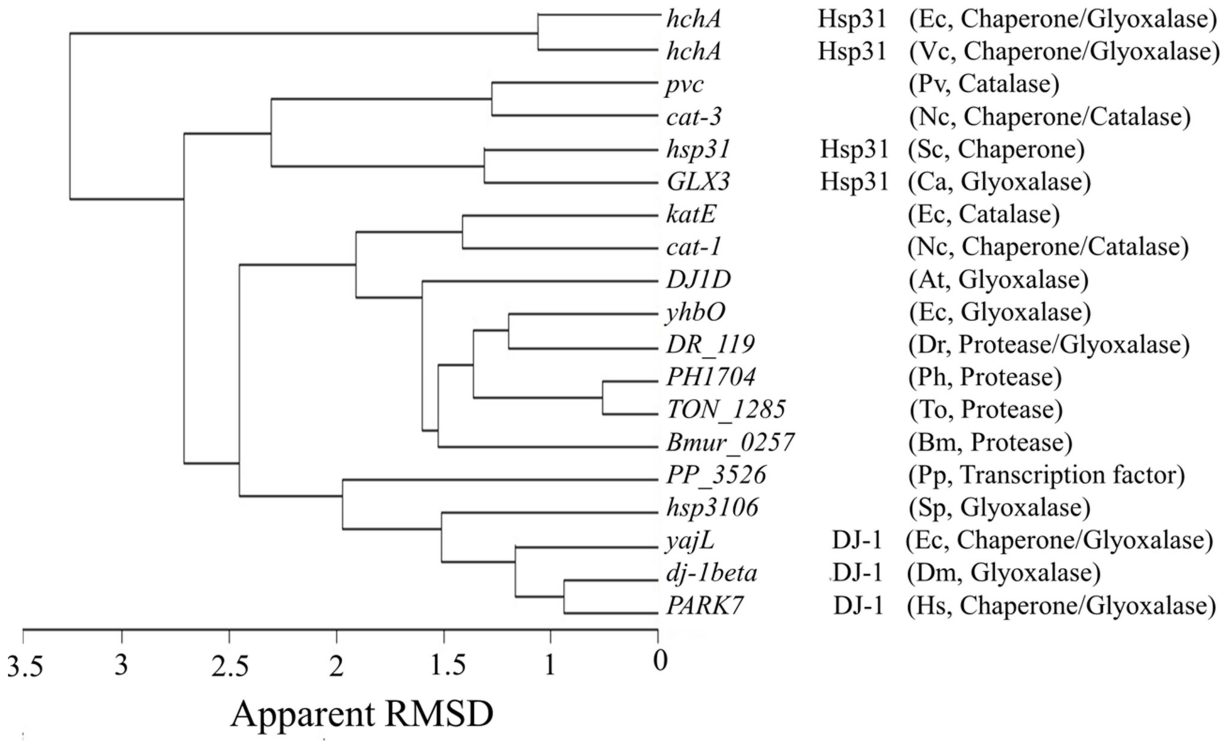 Antioxidants 11 00979 g007
