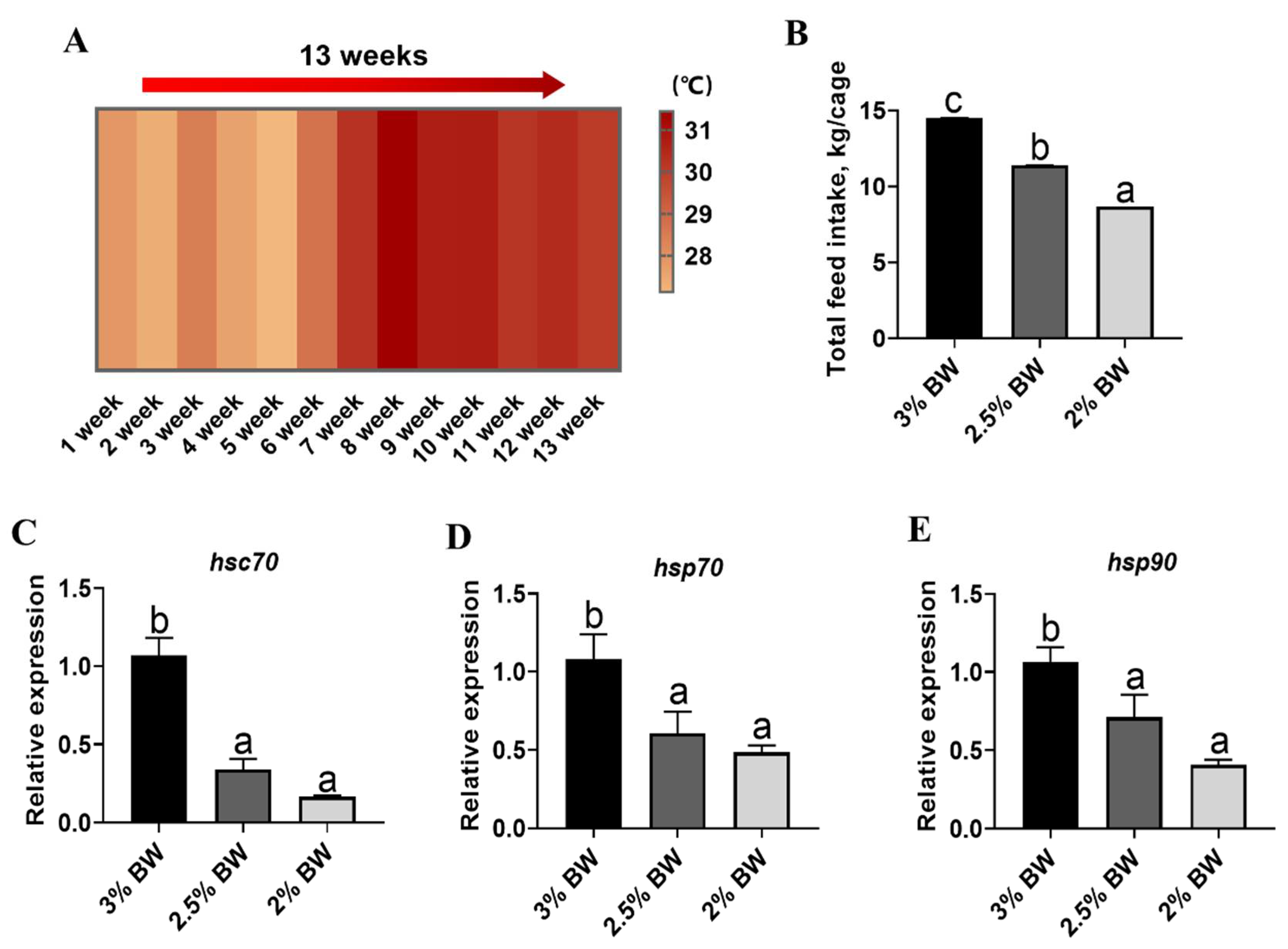 Antioxidants 11 00980 g001
