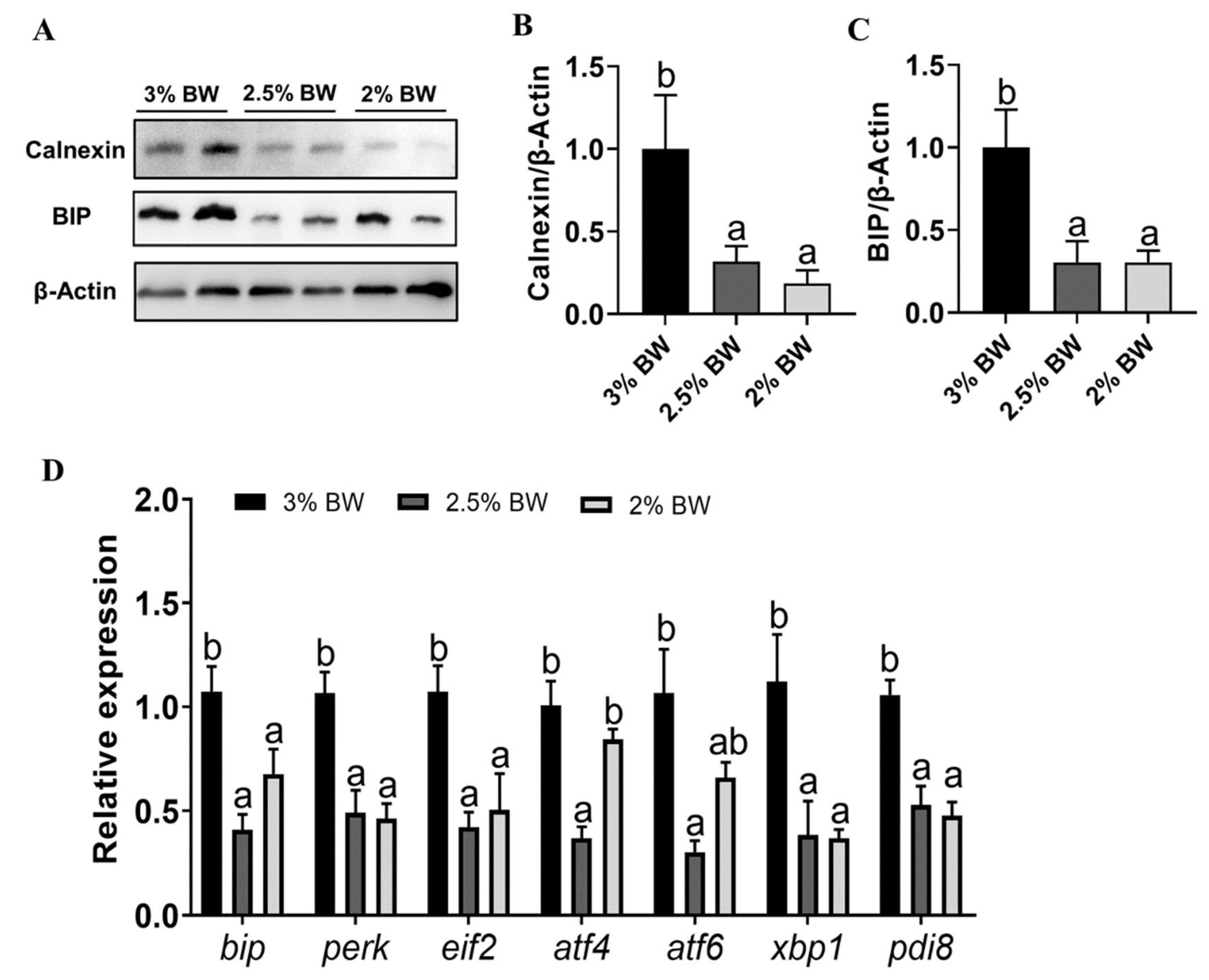 Antioxidants 11 00980 g005